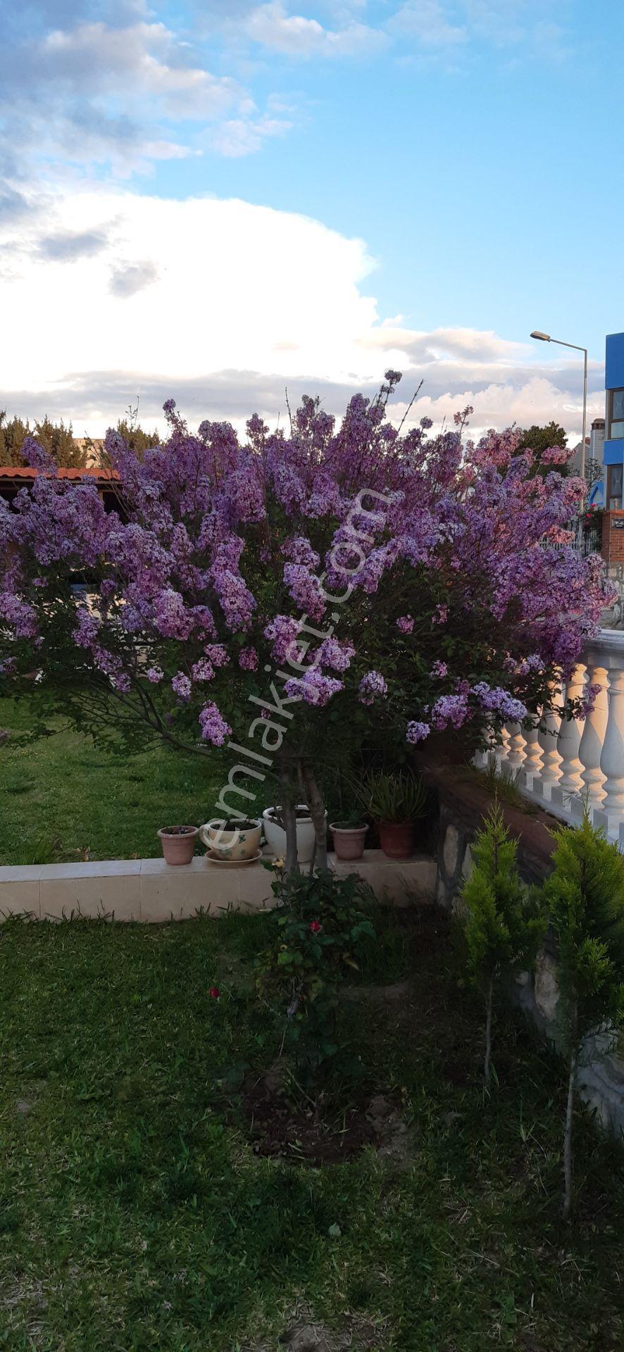 Deniz Ve Karaburan Manzaralı, Yerden Isıtmalı Kombili 5+1 Köşe Villa - Görsel 28