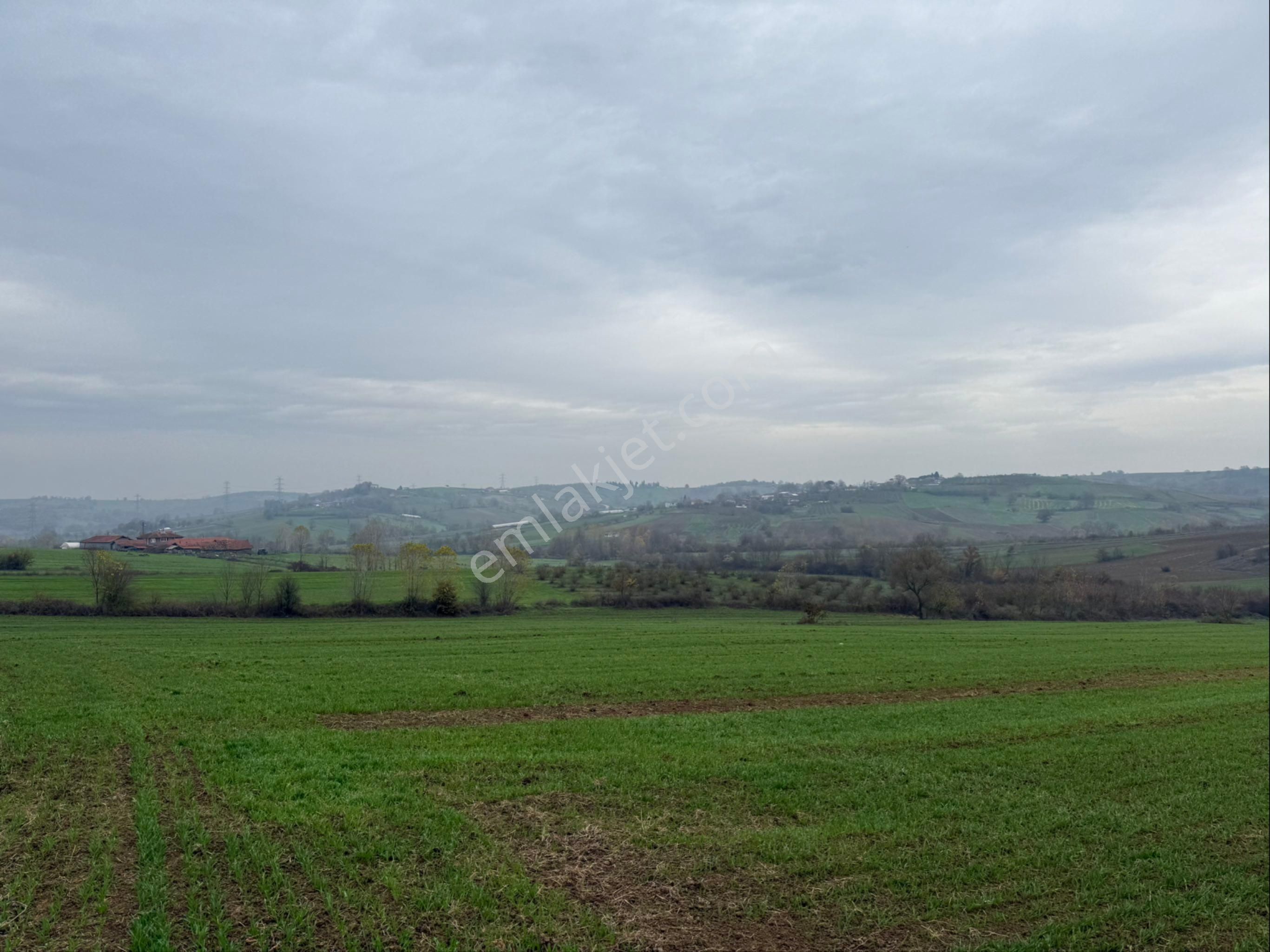 Kandıra Üğümce"de 24167 M2 Çiftlik Ve Sera Yapımına Uygundur