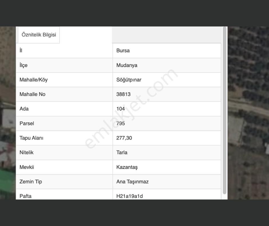 Bursa Mudanya Söğütpınar Mahallesi 277 M² Müstakil Tapulu Arazi - Görsel 9