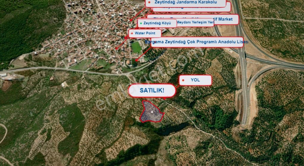 Bergama Zeydindağ Yeni Liman Bölgesinde Satılık Zeytinlik - Görsel 2