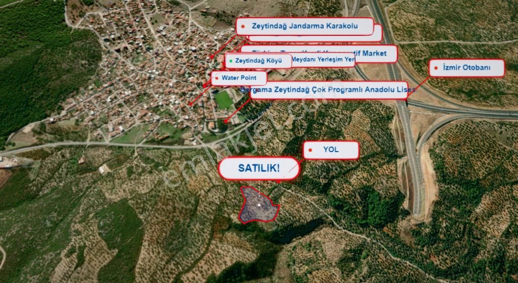 Bergama Zeydindağ Yeni Liman Bölgesinde Satılık Zeytinlik - Görsel 3