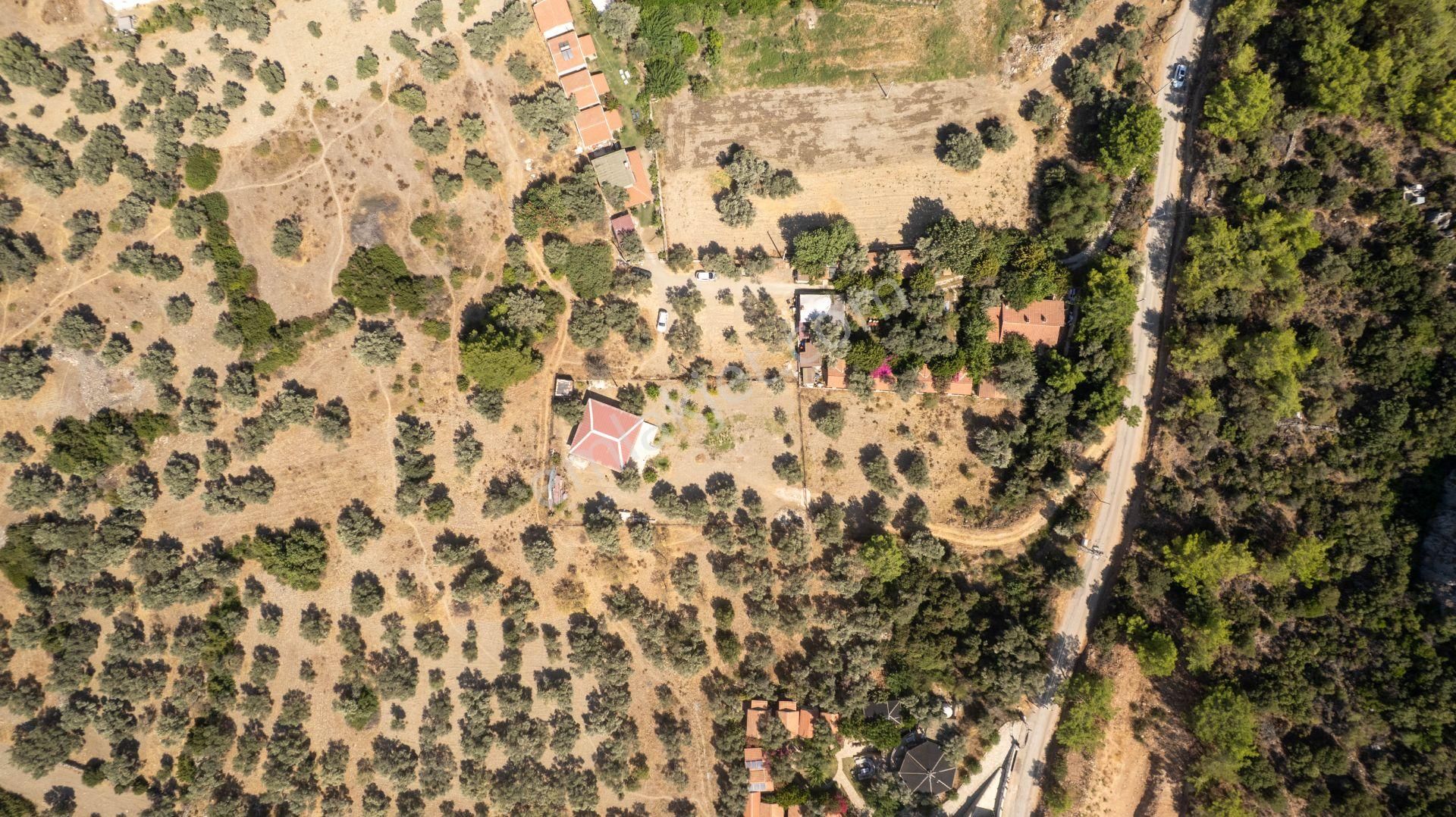 Datça Mesudiye Hayıtbükü'nde Satılık 1.459 M2 Yatırımlık Tarla - Görsel 6