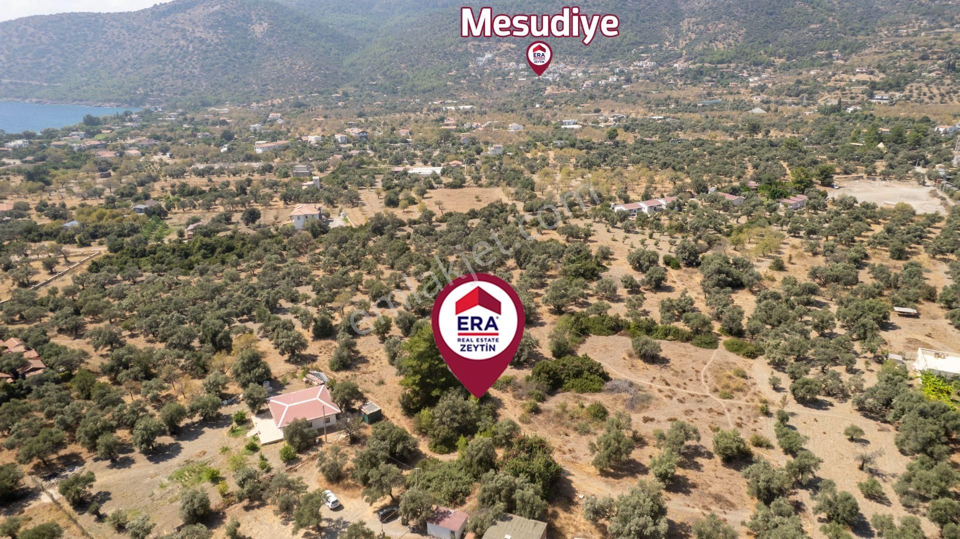Datça Mesudiye Hayıtbükü'nde Satılık 1.459 M2 Yatırımlık Tarla - Görsel 10