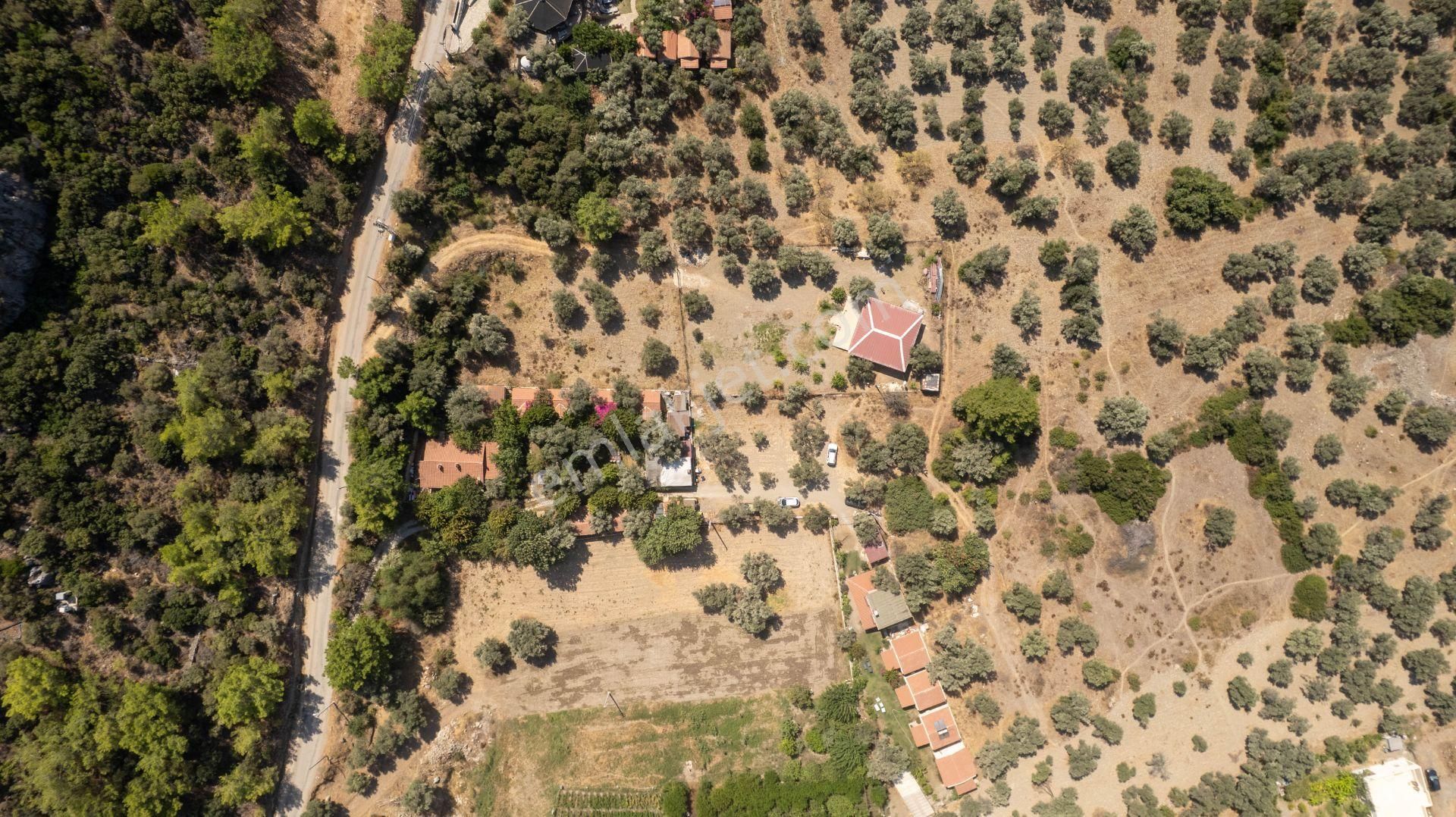 Datça Mesudiye Hayıtbükü'nde Satılık 1.459 M2 Yatırımlık Tarla - Görsel 5