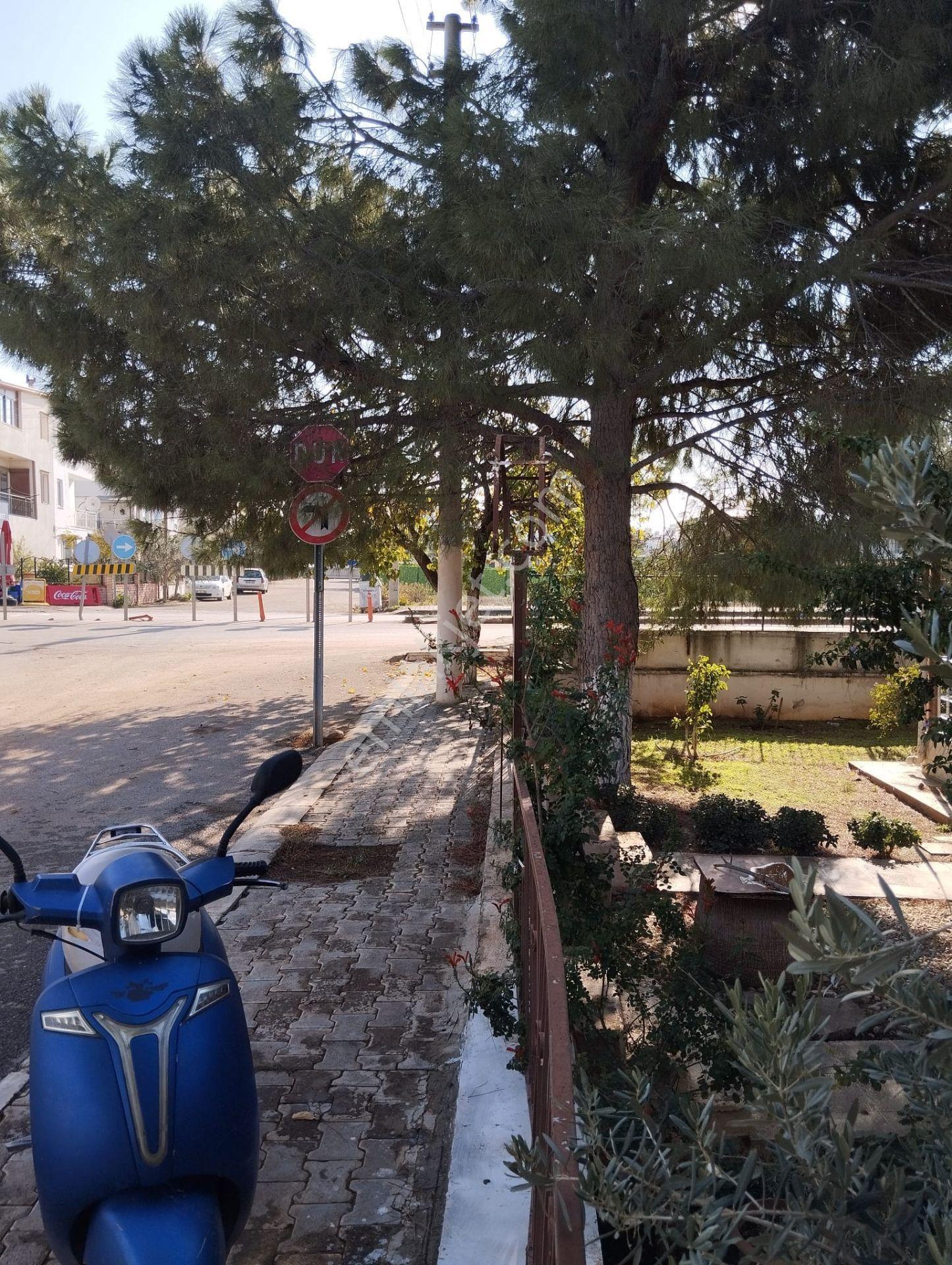 Altınkum Mahallesi Yeşilkent Yolu 5+1 Triplex Satılık Villa - Görsel 29