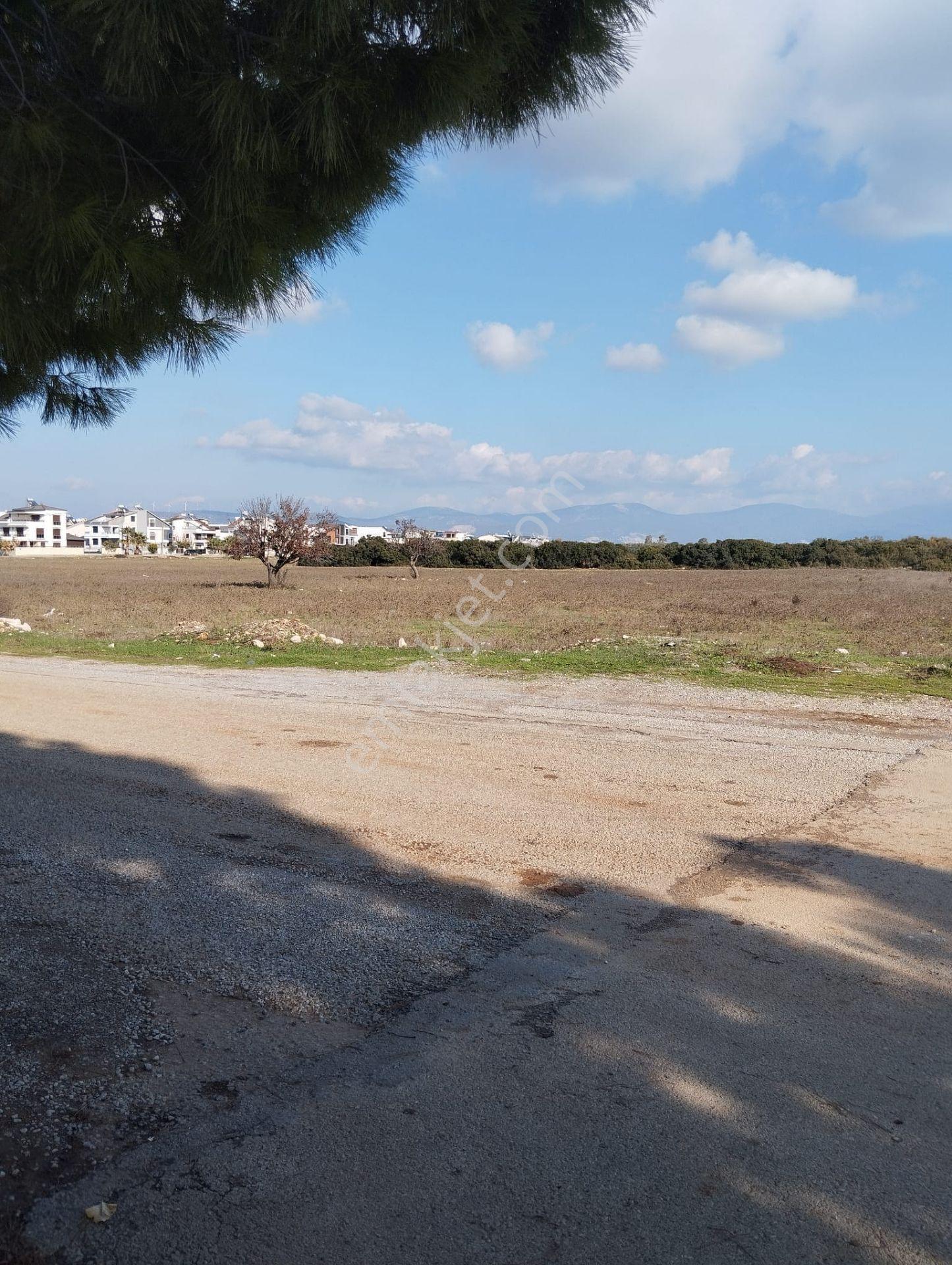 Altınkum Mahallesi Yeşilkent Yolu 5+1 Triplex Satılık Villa - Görsel 32
