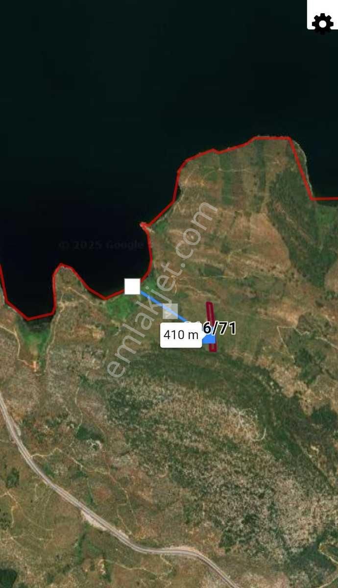 Muğla/milas Pınarcık Köyünde Satılık Zeytinlik - Görsel 4
