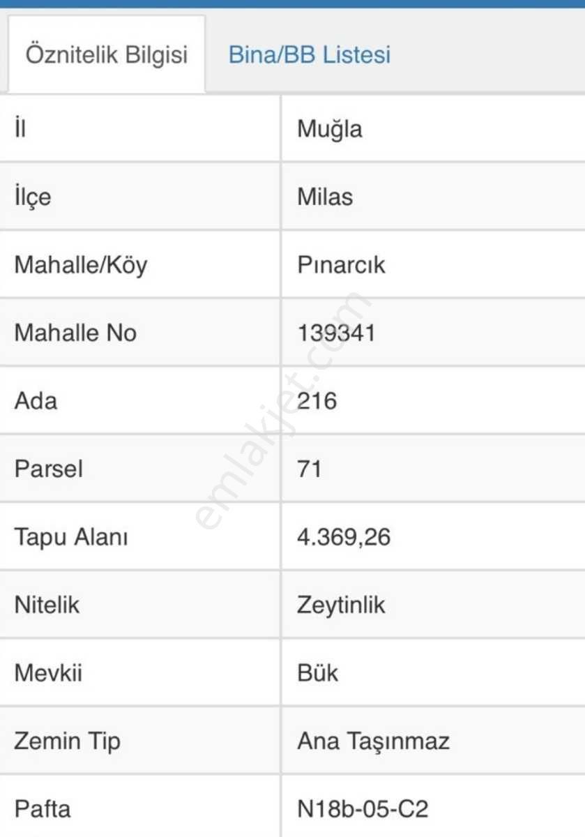 Muğla/milas Pınarcık Köyünde Satılık Zeytinlik - Görsel 2