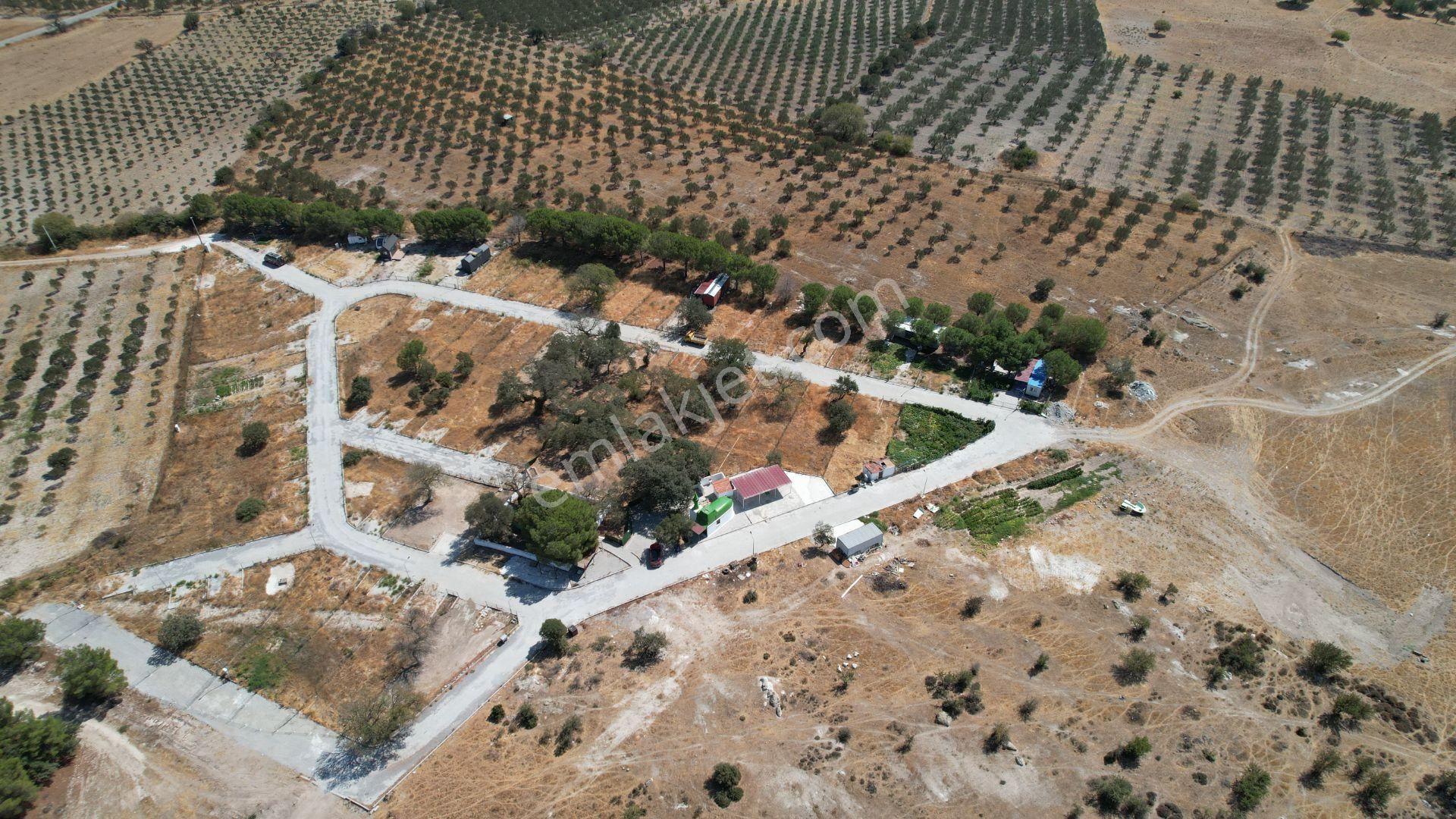 Çandarlıda Eşsiz Doğa İçersinde Kooperatif Arsaları - Görsel 6