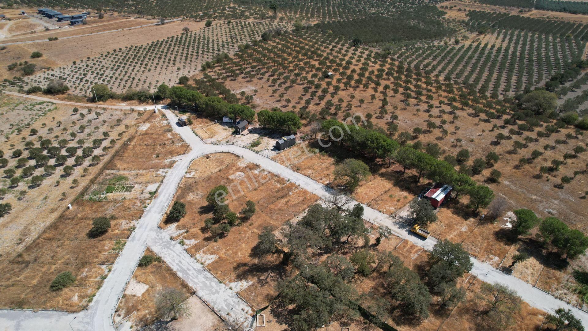 Çandarlıda Eşsiz Doğa İçersinde Kooperatif Arsaları - Görsel 10