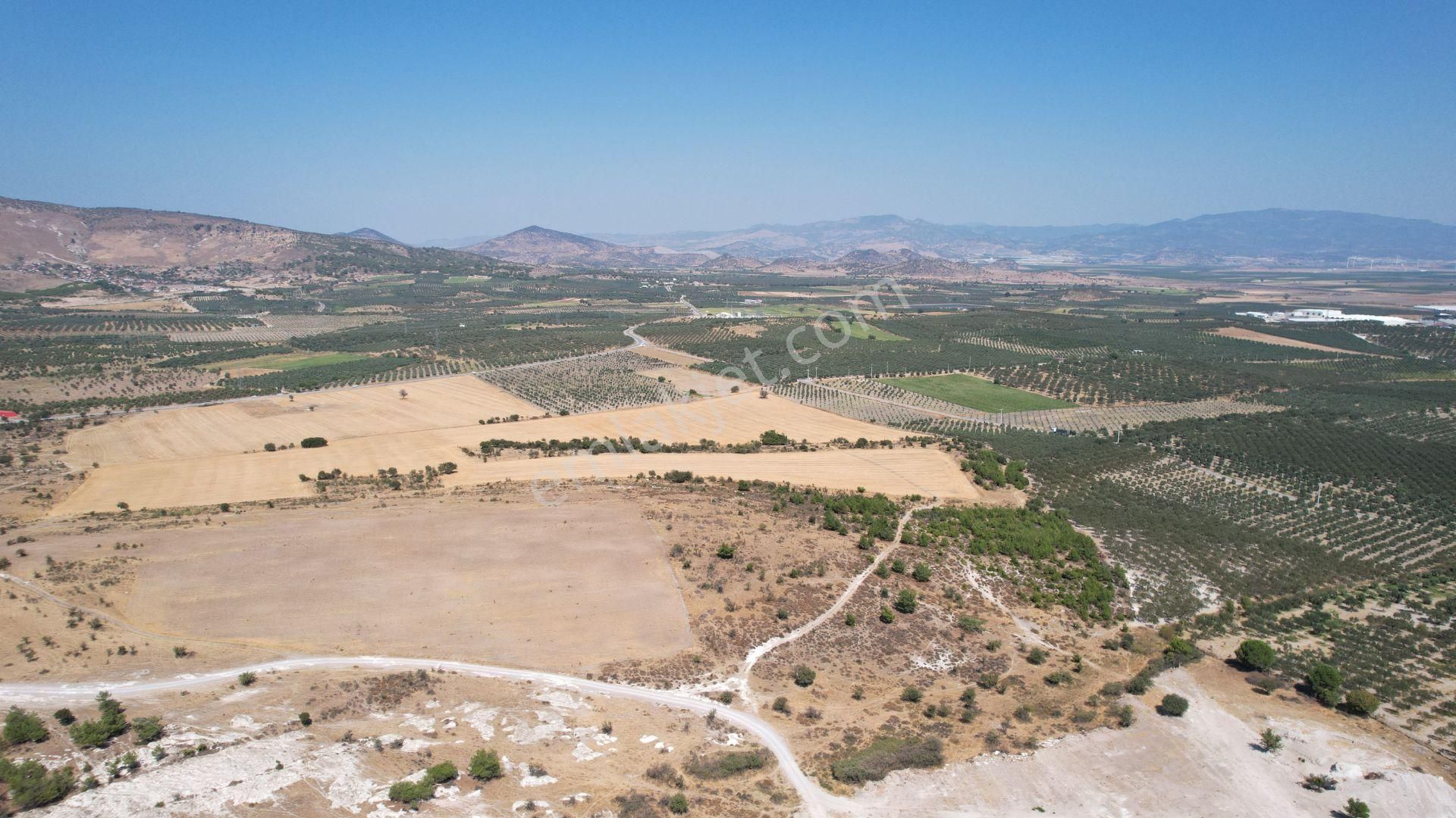 Çandarlıda Eşsiz Doğa İçersinde Kooperatif Arsaları - Görsel 26