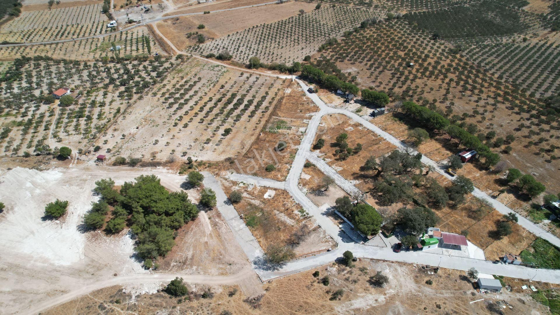 Çandarlıda Eşsiz Doğa İçersinde Kooperatif Arsaları - Görsel 4