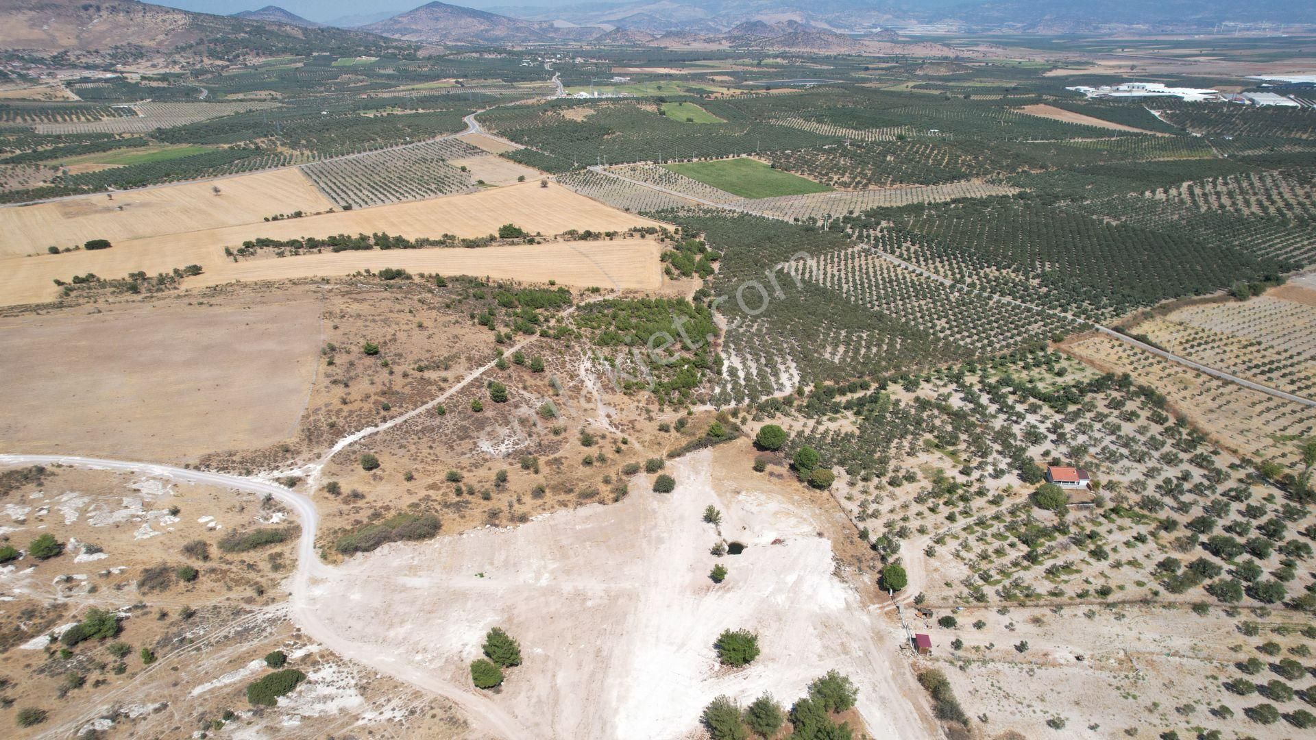 Çandarlıda Eşsiz Doğa İçersinde Kooperatif Arsaları - Görsel 35