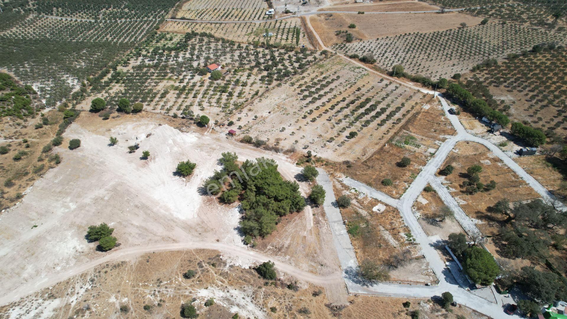 Çandarlıda Eşsiz Doğa İçersinde Kooperatif Arsaları - Görsel 5