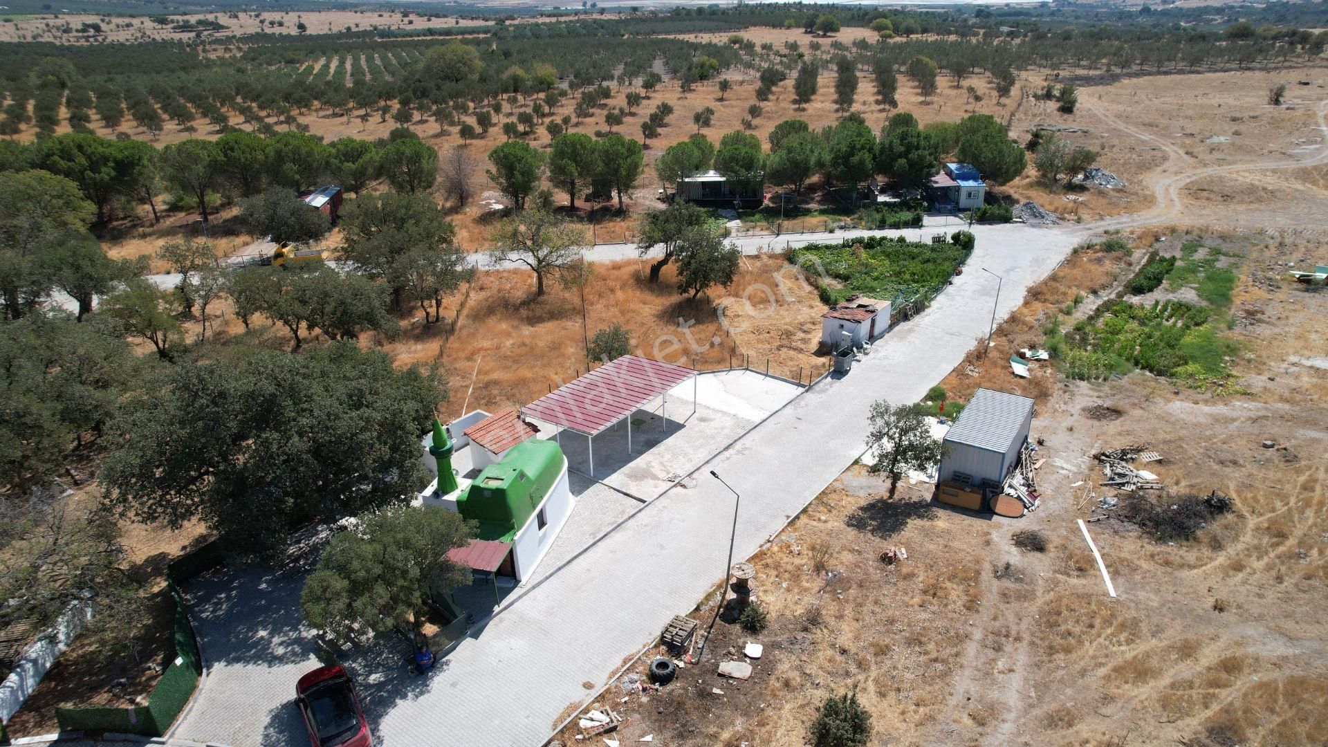 Çandarlıda Eşsiz Doğa İçersinde Kooperatif Arsaları - Görsel 13