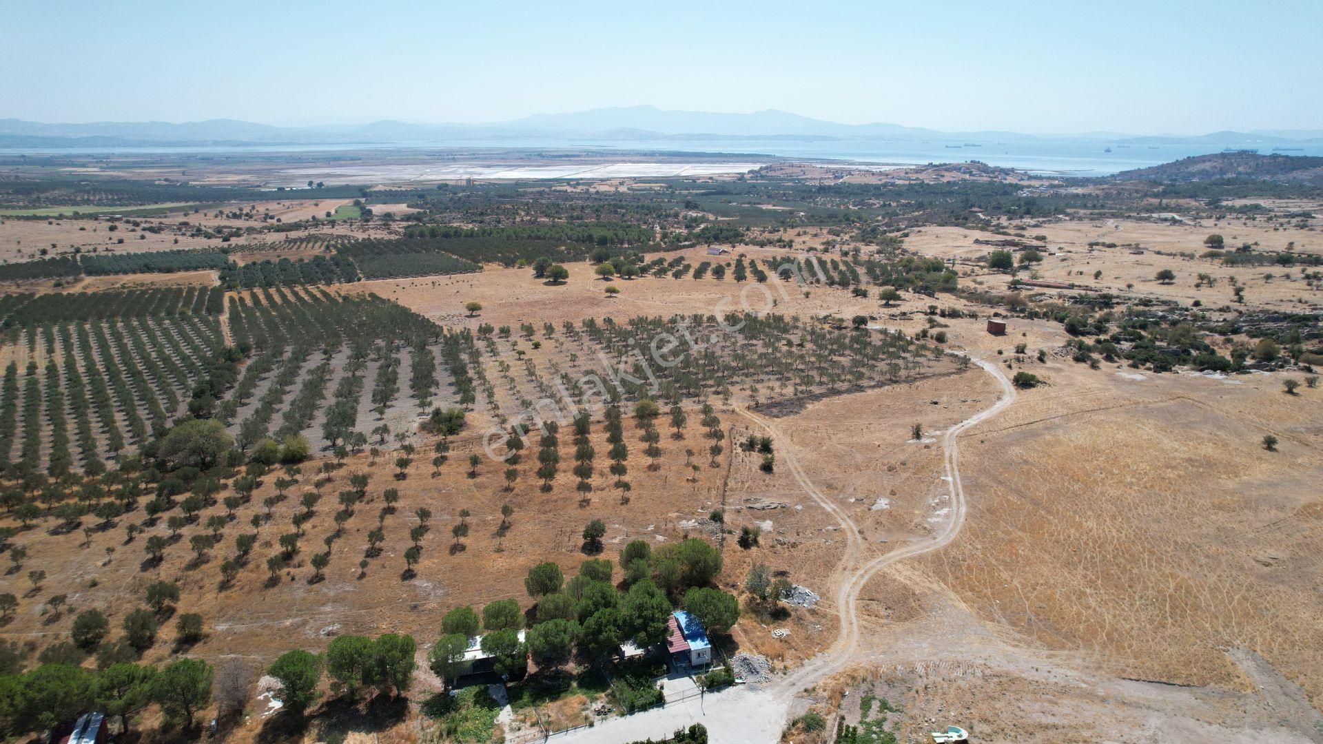 Çandarlıda Eşsiz Doğa İçersinde Kooperatif Arsaları - Görsel 29