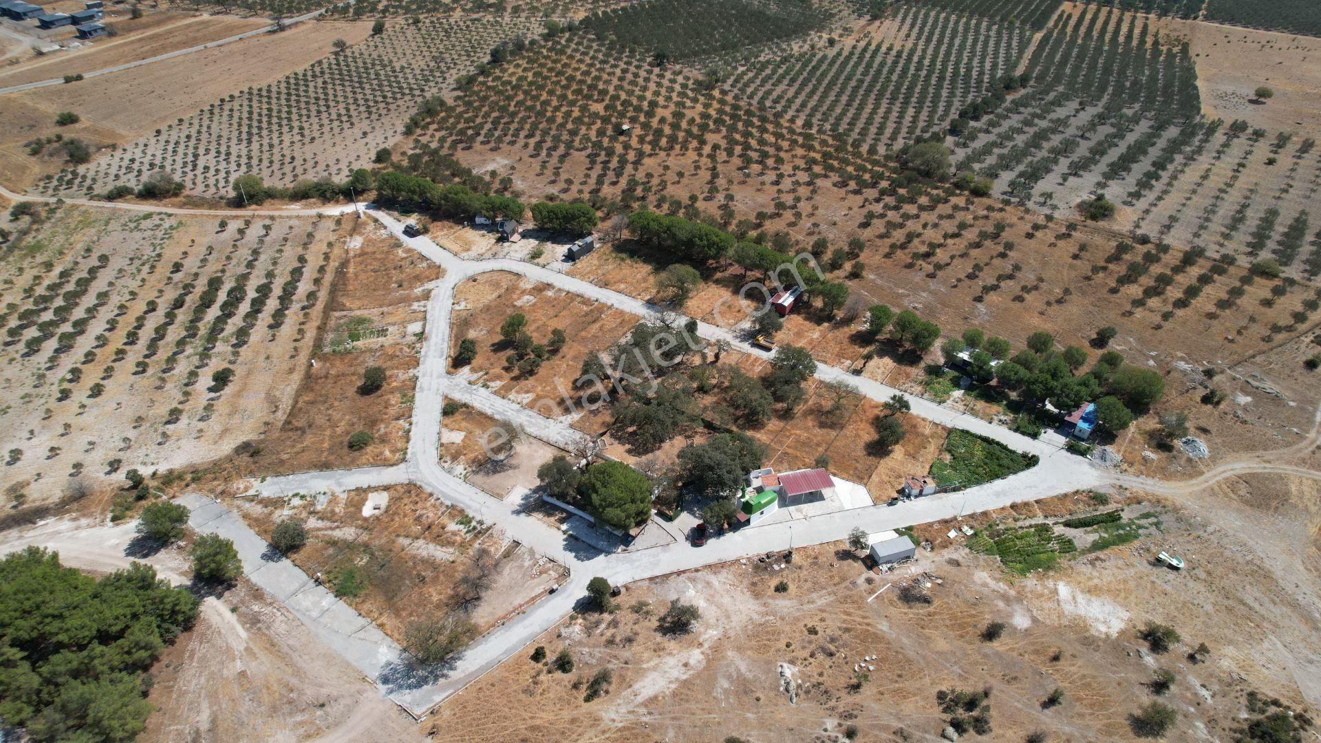 Çandarlıda Eşsiz Doğa İçersinde Kooperatif Arsaları - Görsel 3