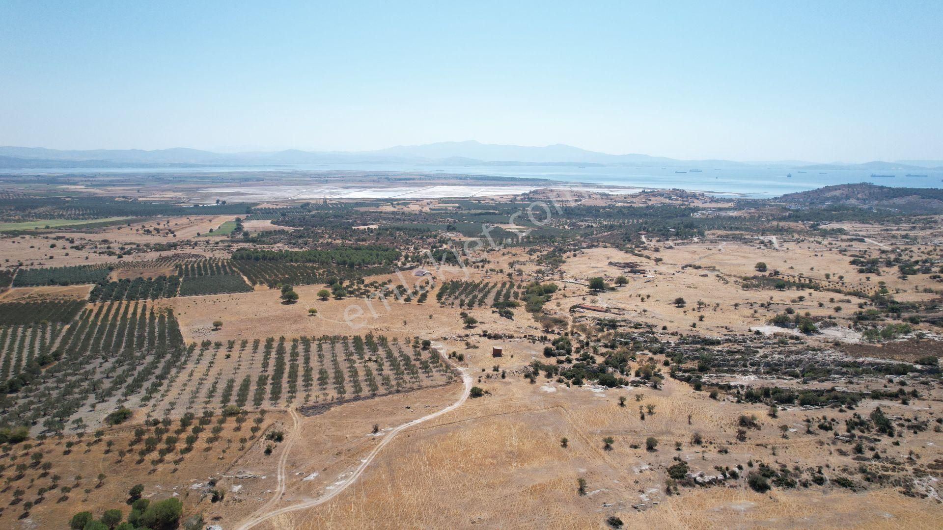 Çandarlıda Eşsiz Doğa İçersinde Kooperatif Arsaları - Görsel 19