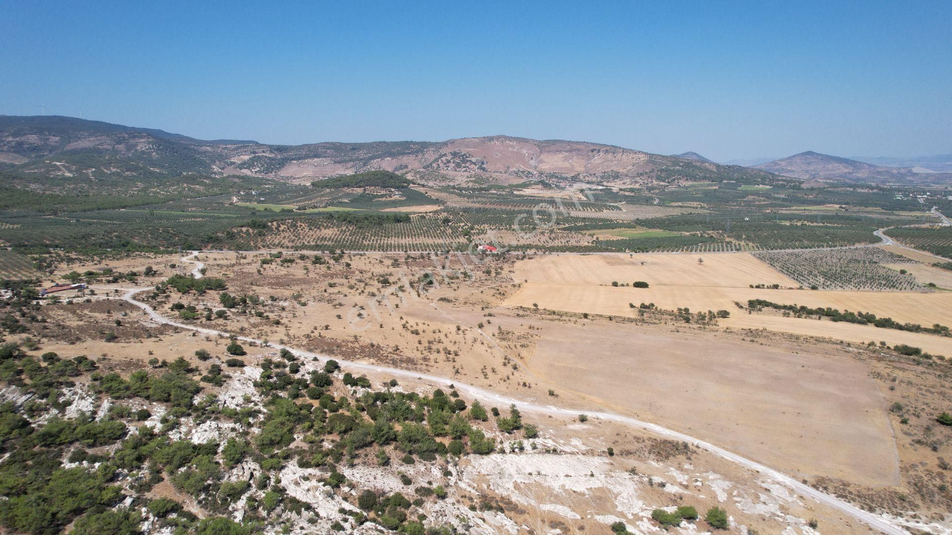 Çandarlıda Eşsiz Doğa İçersinde Kooperatif Arsaları - Görsel 25