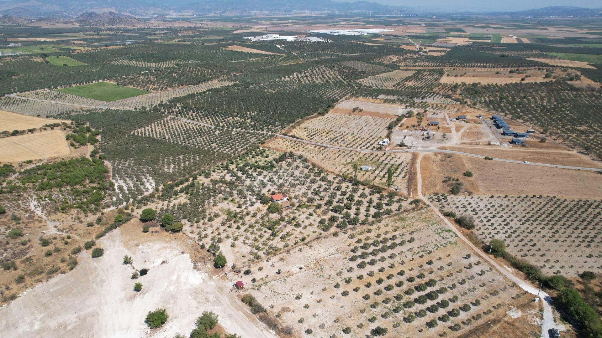 Çandarlıda Eşsiz Doğa İçersinde Kooperatif Arsaları - Görsel 34