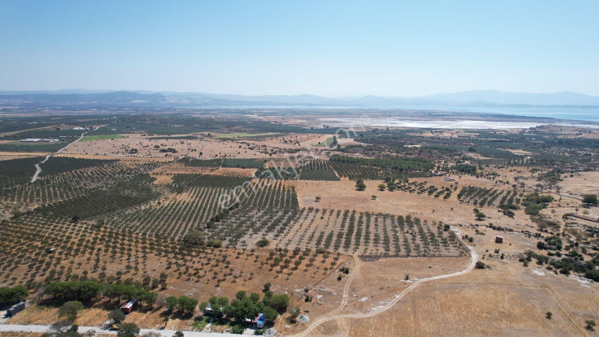 Çandarlıda Eşsiz Doğa İçersinde Kooperatif Arsaları - Görsel 18