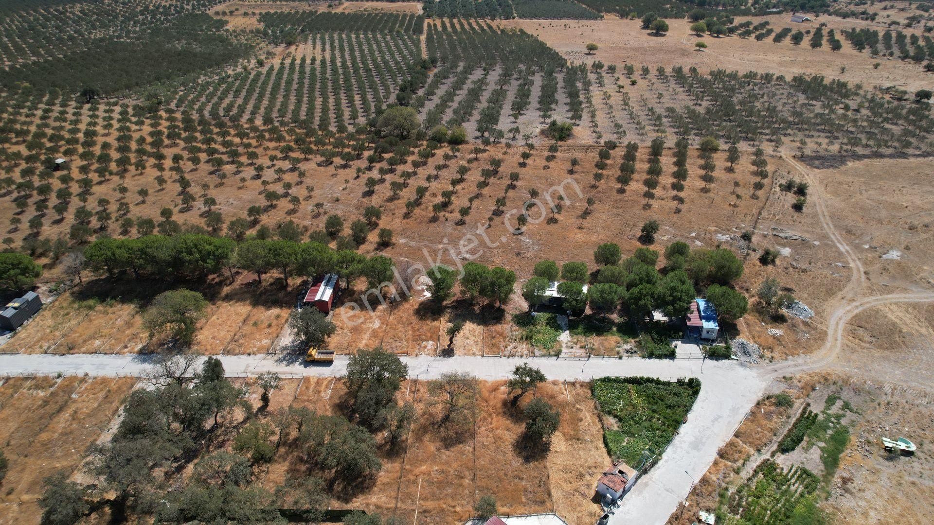 Çandarlıda Eşsiz Doğa İçersinde Kooperatif Arsaları - Görsel 11