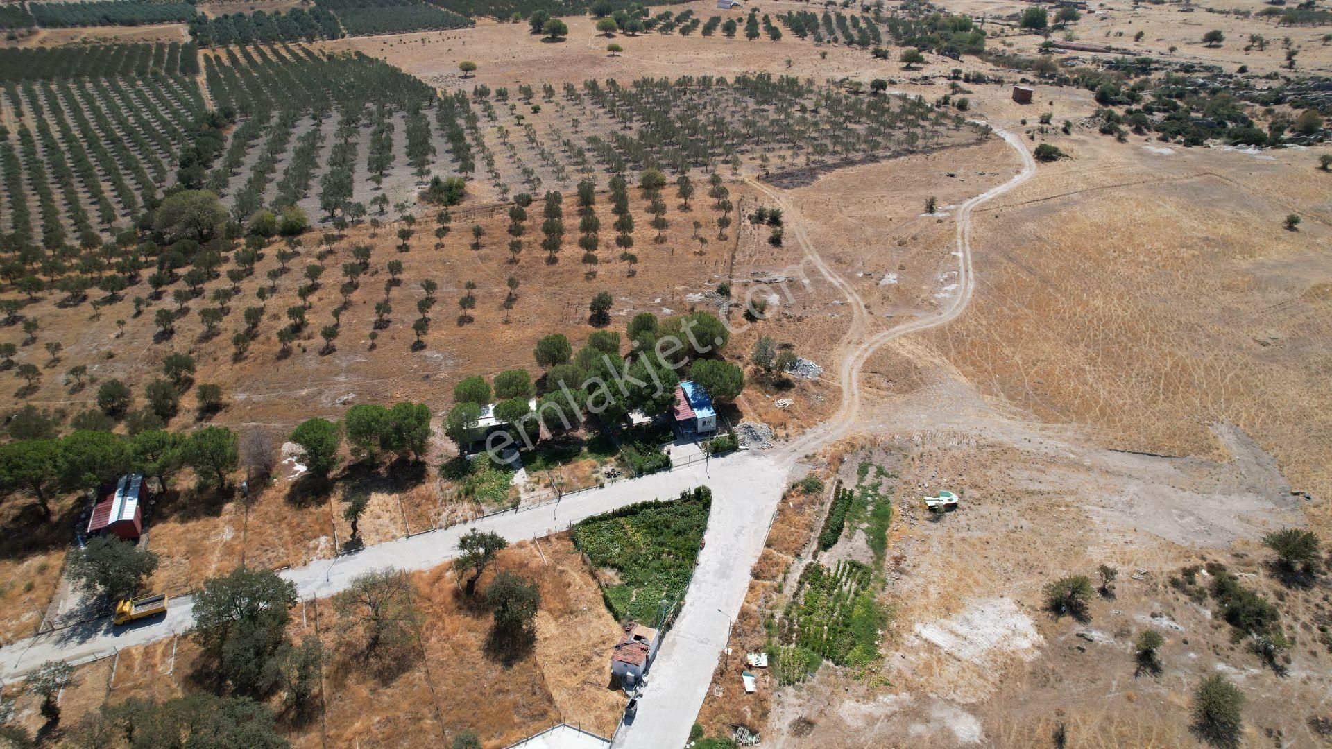 Çandarlıda Eşsiz Doğa İçersinde Kooperatif Arsaları - Görsel 12