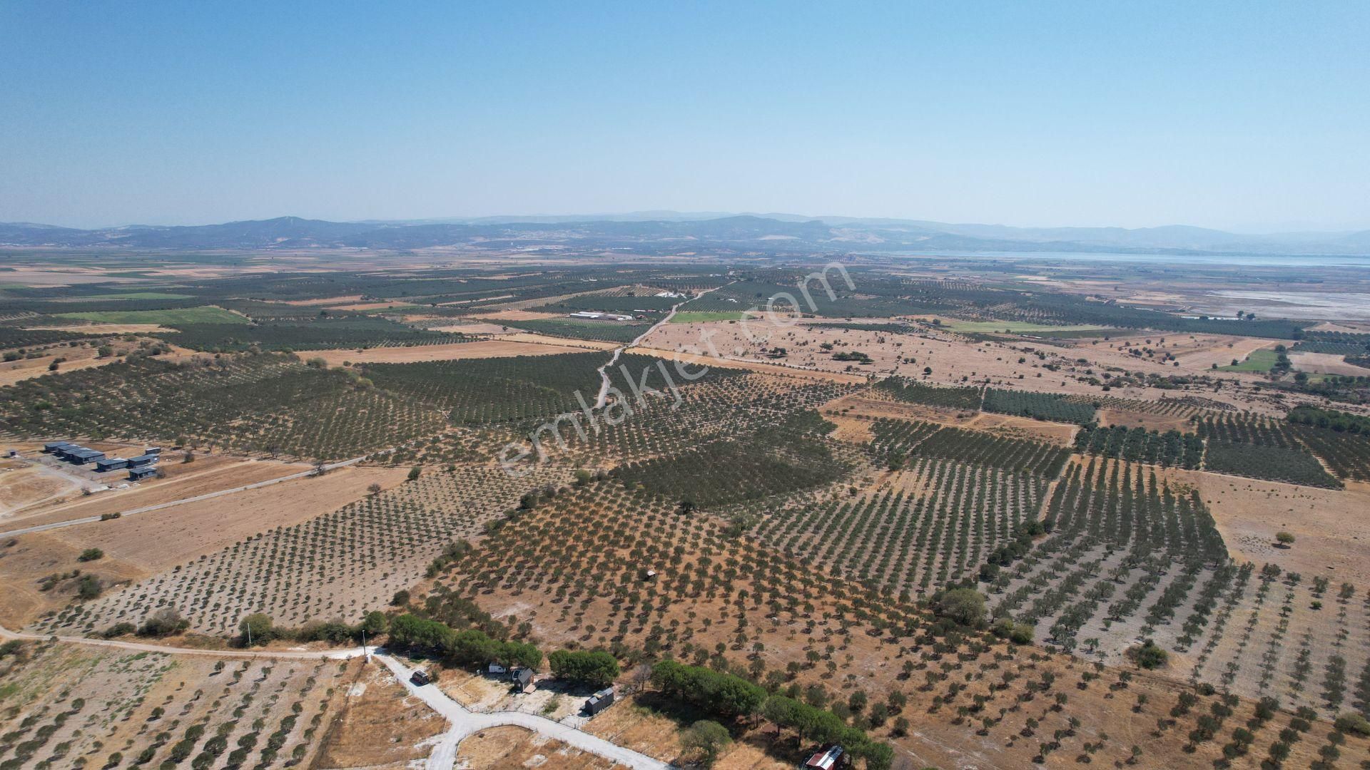 Çandarlıda Eşsiz Doğa İçersinde Kooperatif Arsaları - Görsel 28