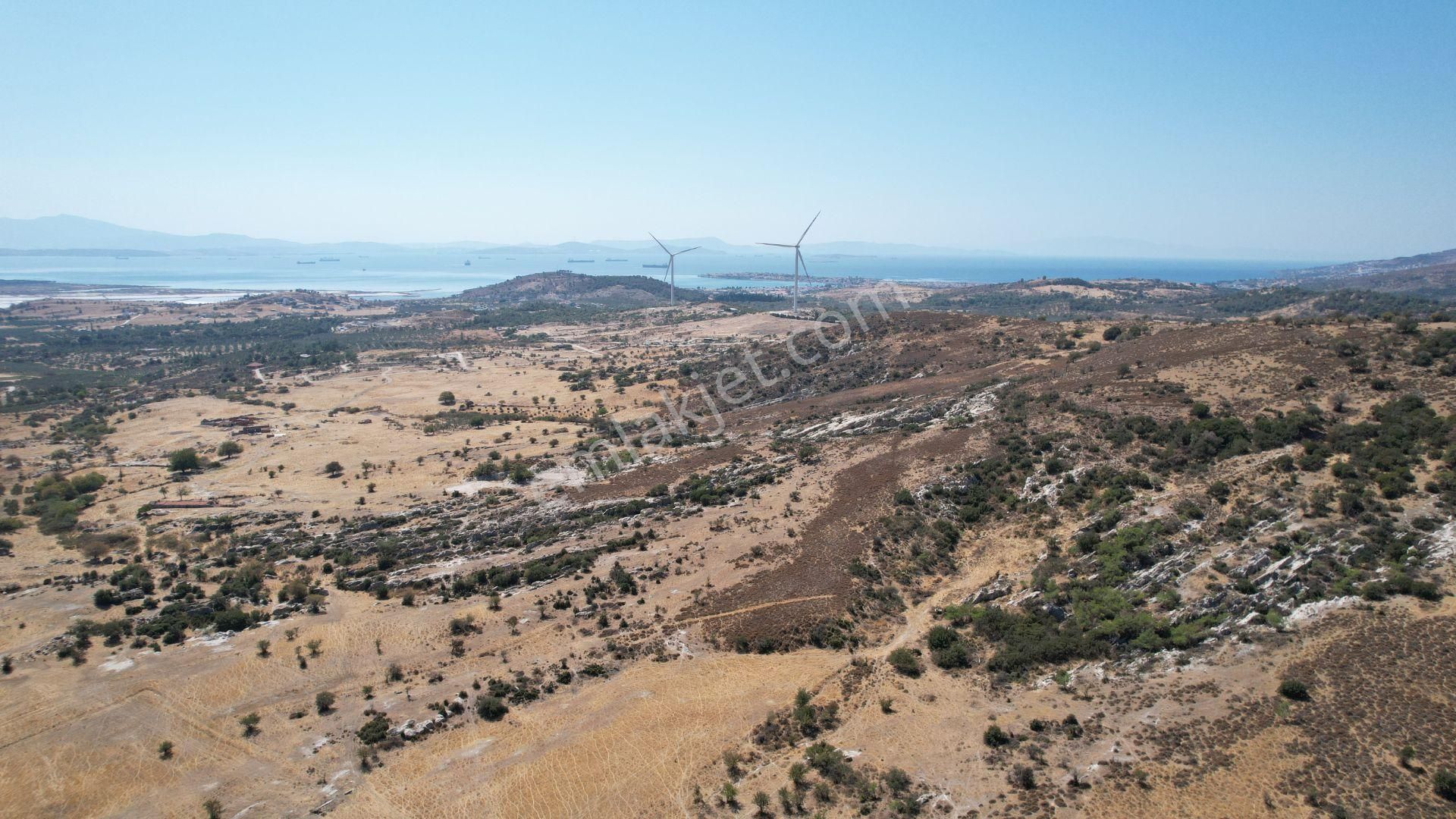 Çandarlıda Eşsiz Doğa İçersinde Kooperatif Arsaları - Görsel 21