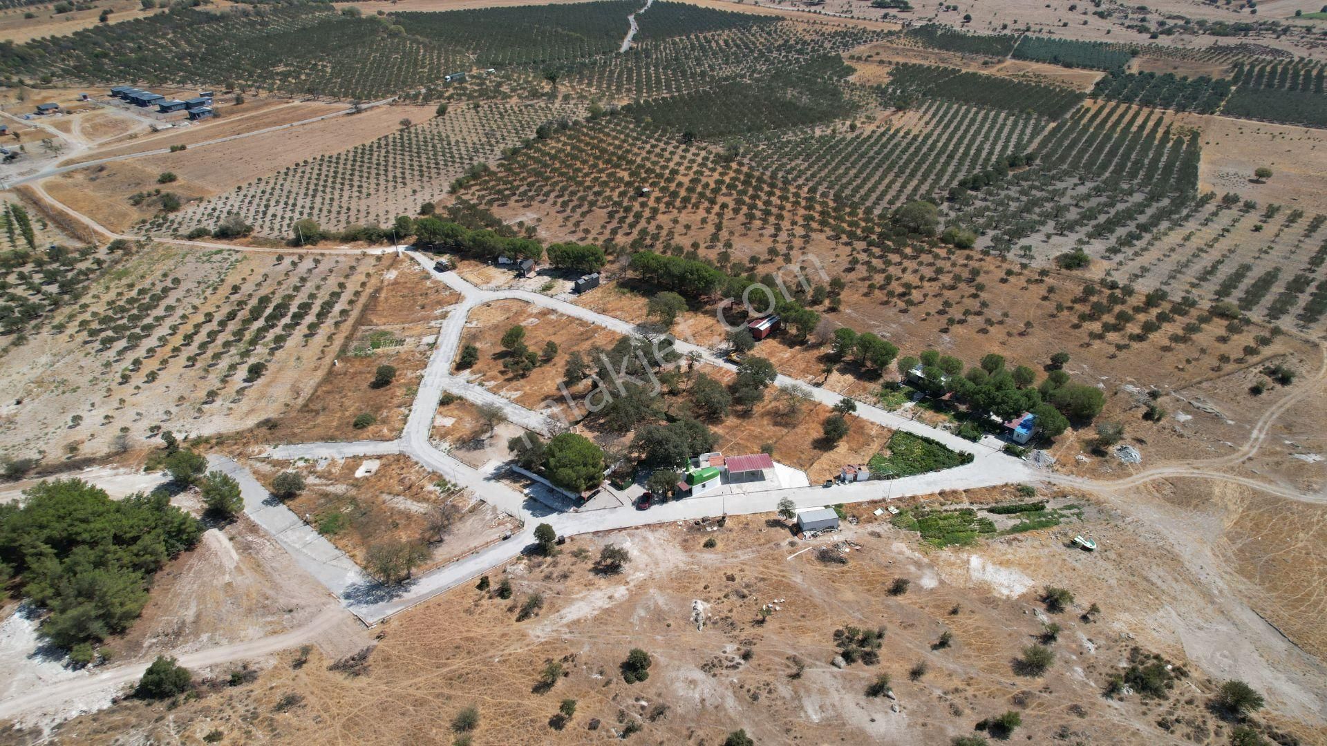 Çandarlıda Eşsiz Doğa İçersinde Kooperatif Arsaları - Görsel 2