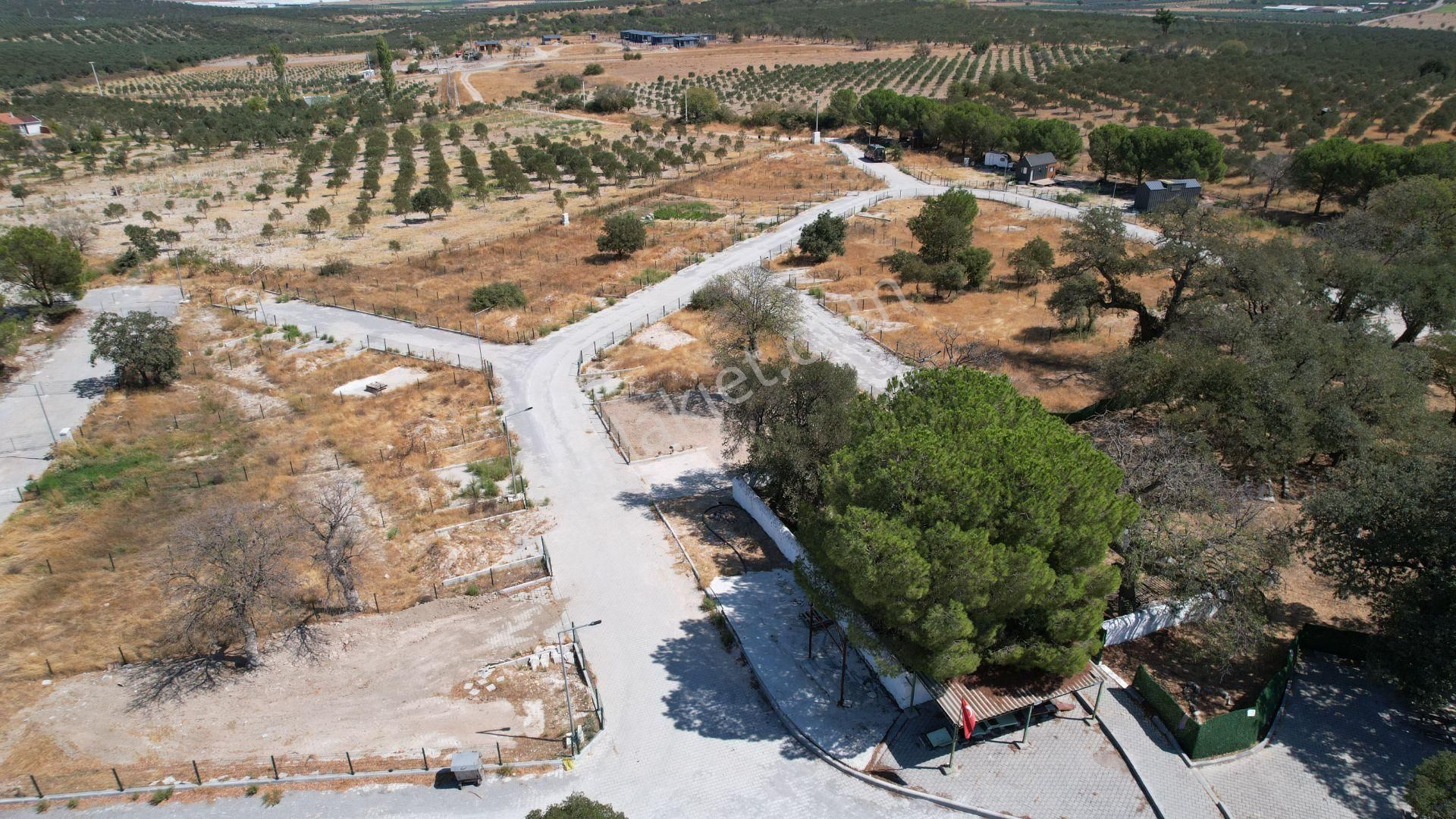 Çandarlıda Eşsiz Doğa İçersinde Kooperatif Arsaları - Görsel 16