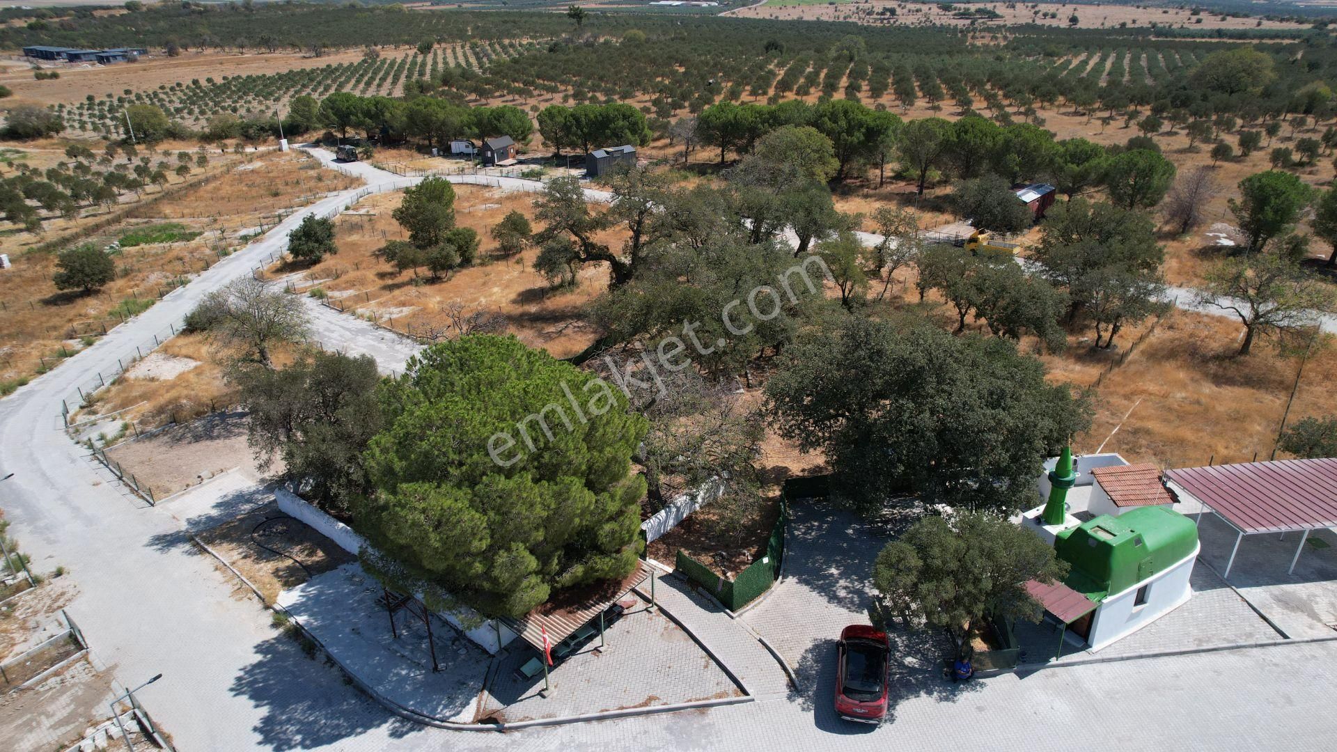 Çandarlıda Eşsiz Doğa İçersinde Kooperatif Arsaları - Görsel 15