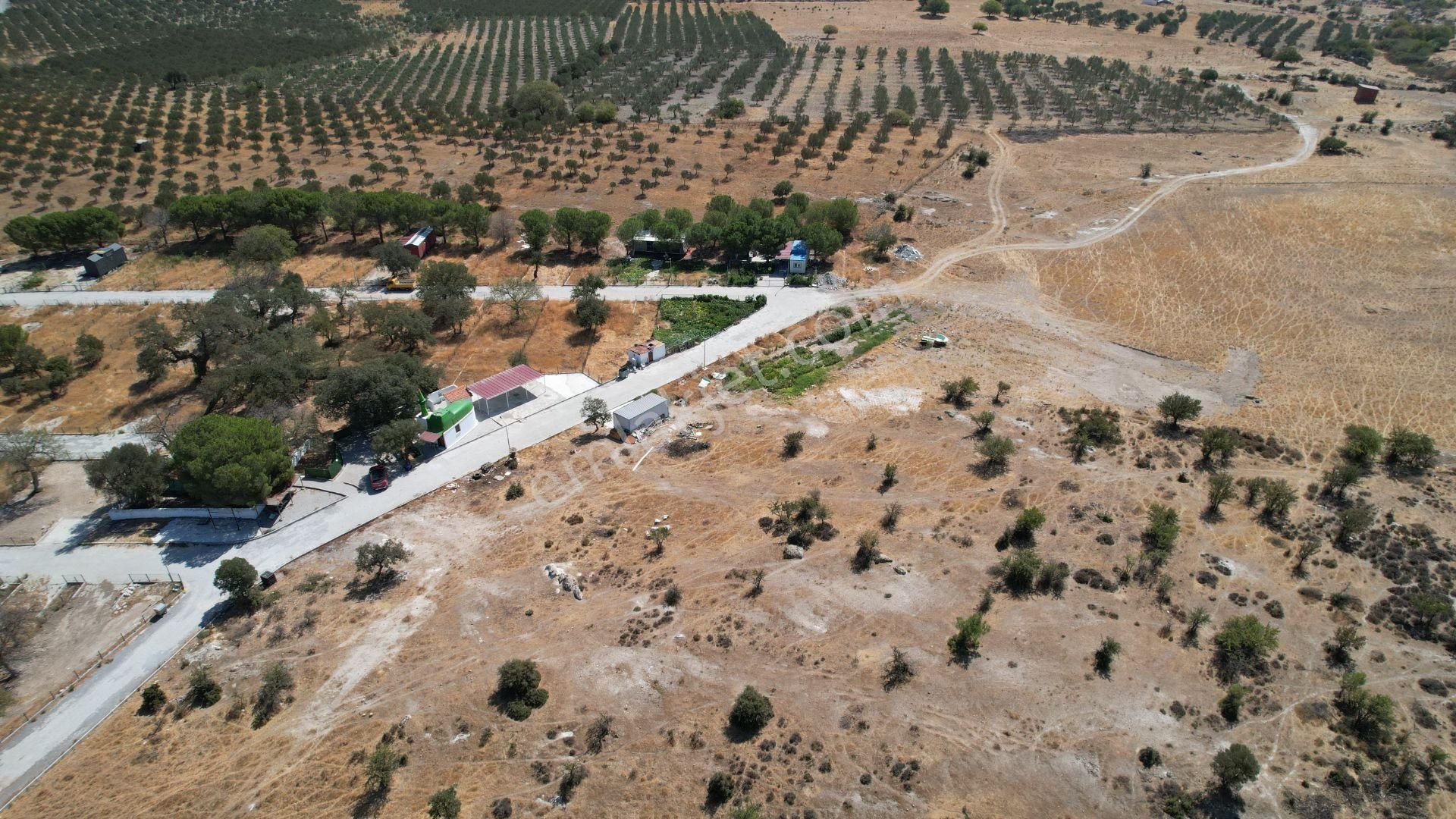 Çandarlıda Eşsiz Doğa İçersinde Kooperatif Arsaları - Görsel 8