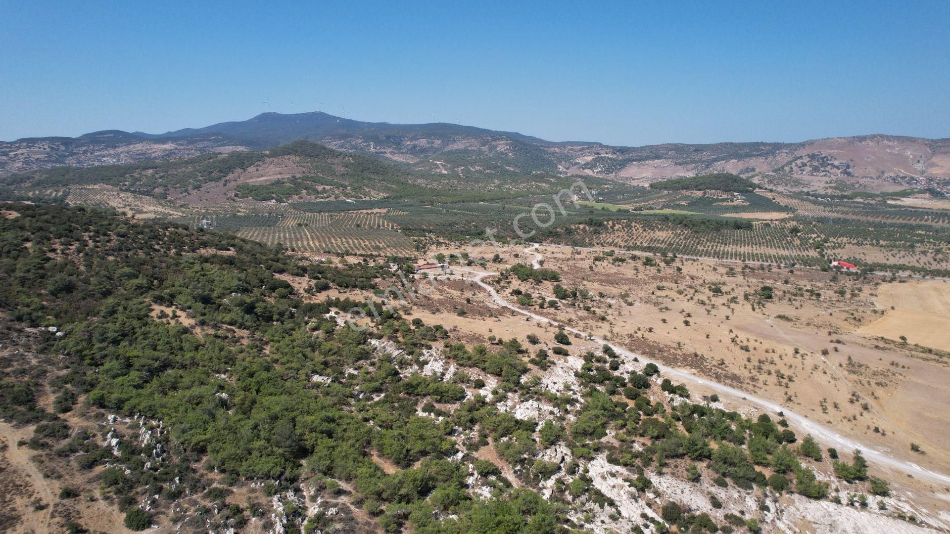 Çandarlıda Eşsiz Doğa İçersinde Kooperatif Arsaları - Görsel 24