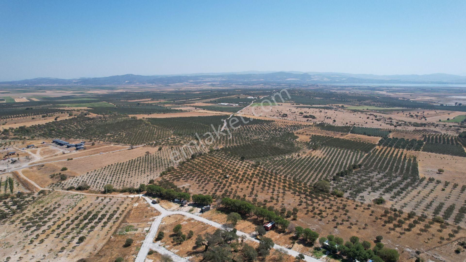 Çandarlıda Eşsiz Doğa İçersinde Kooperatif Arsaları - Görsel 17
