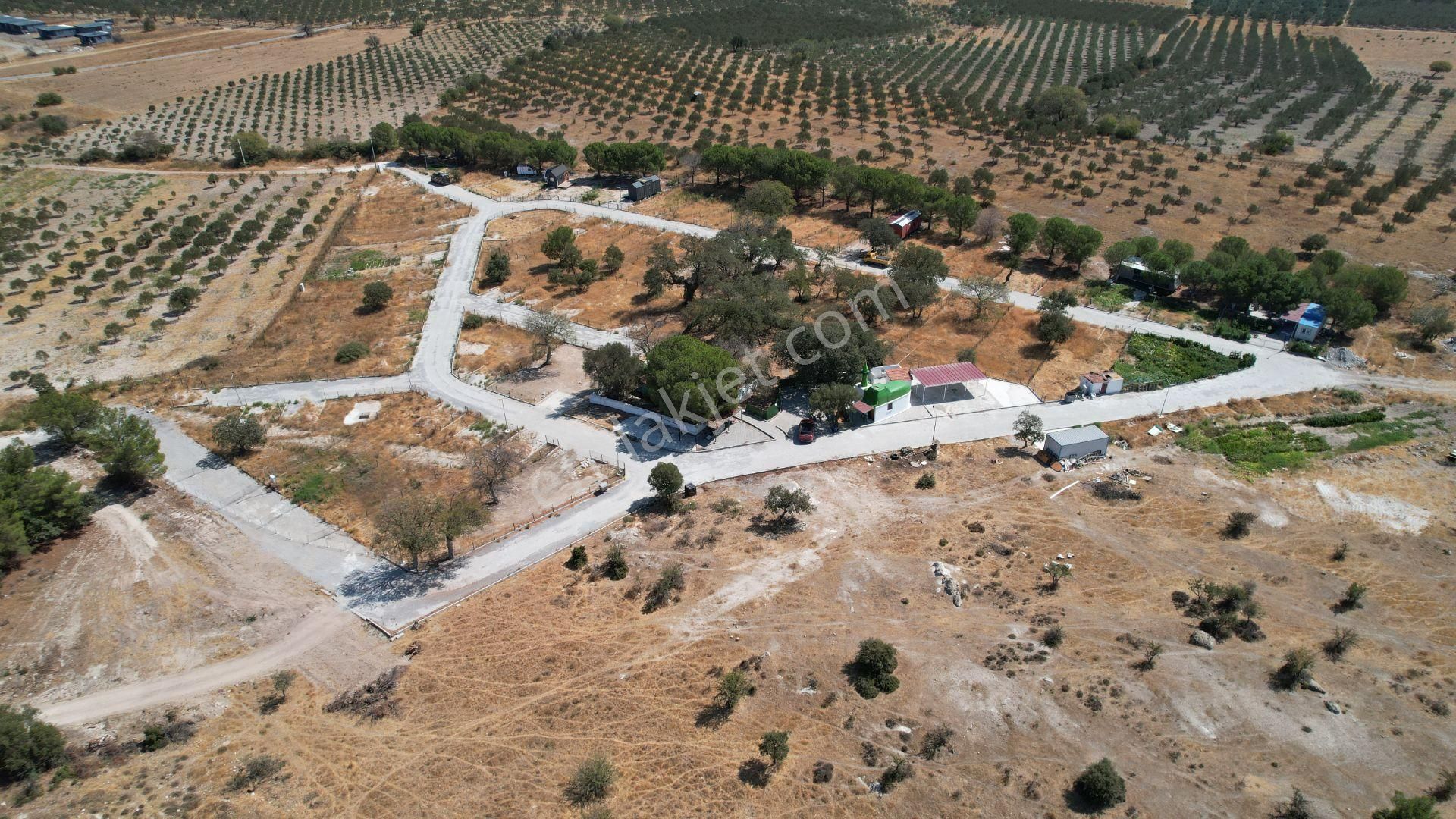 Çandarlıda Eşsiz Doğa İçersinde Kooperatif Arsaları - Görsel 9