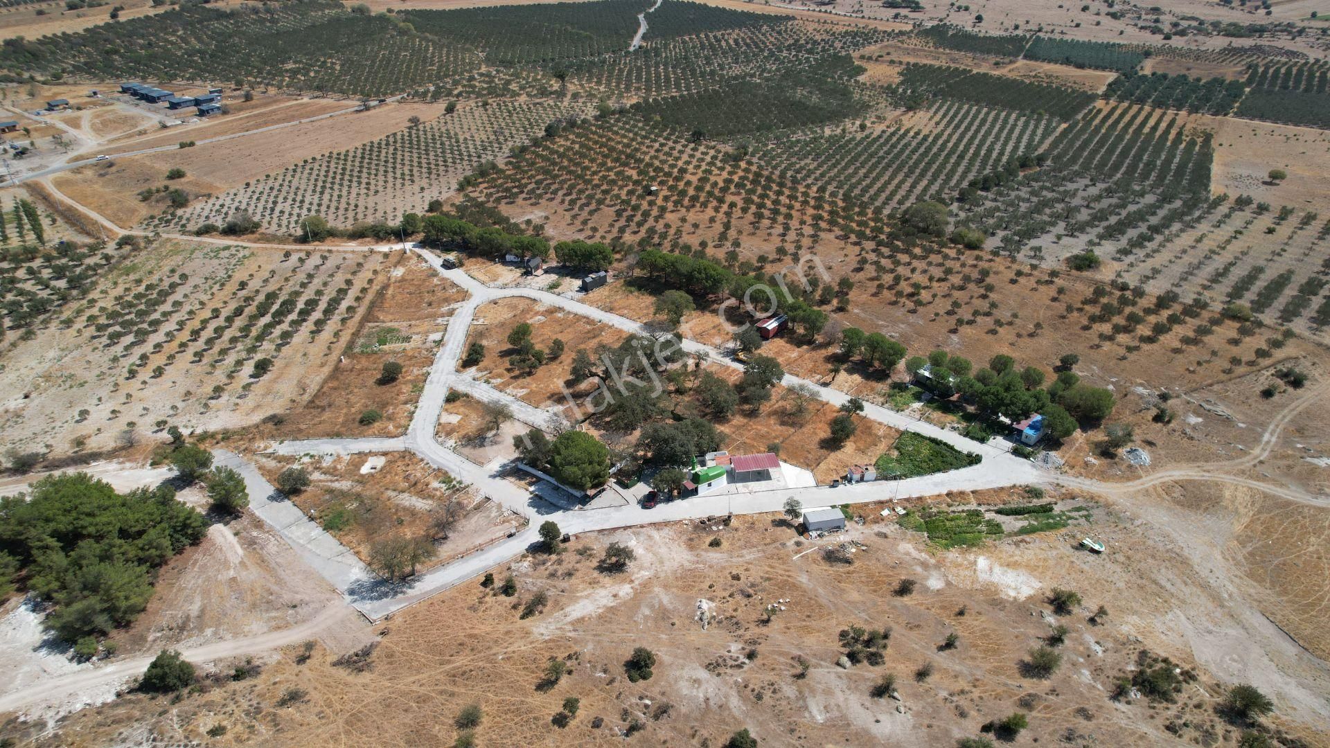 Çandarlıda Eşsiz Doğa İçersinde Kooperatif Arsaları