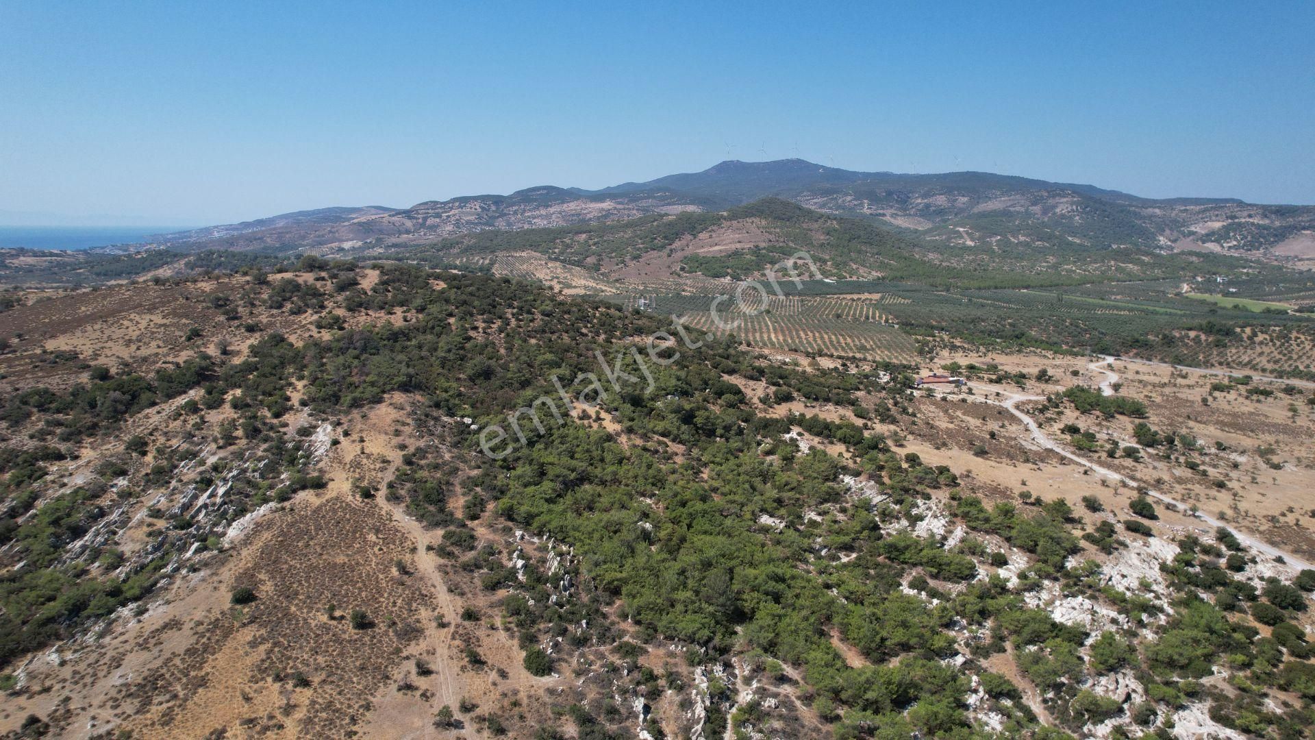 Çandarlıda Eşsiz Doğa İçersinde Kooperatif Arsaları - Görsel 23