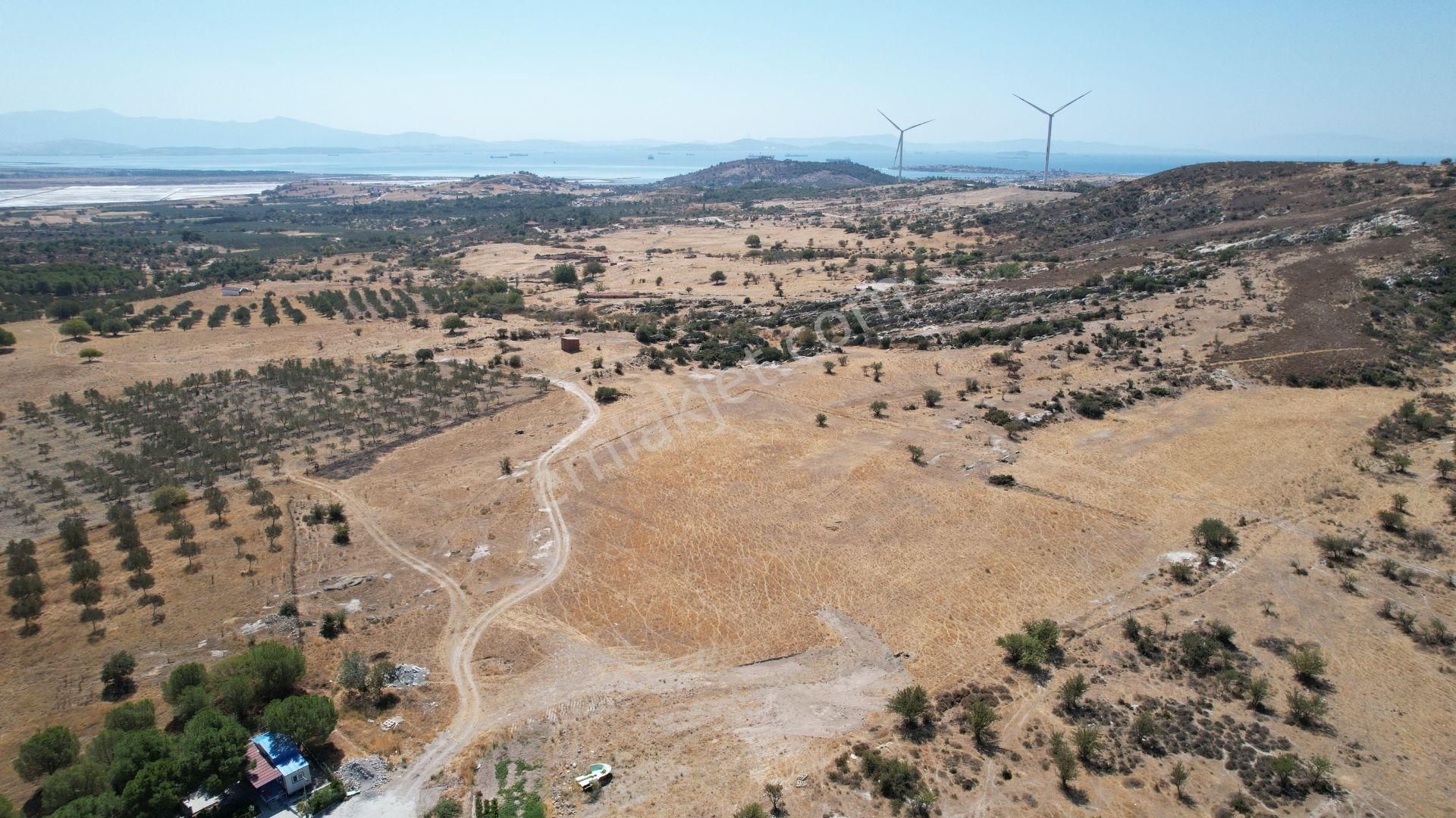 Çandarlıda Eşsiz Doğa İçersinde Kooperatif Arsaları - Görsel 30