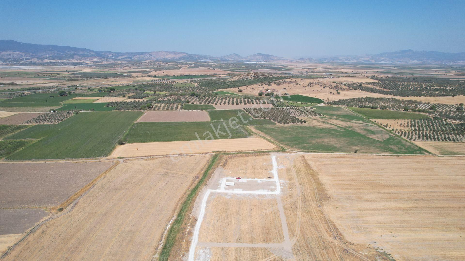 Bergama Zeytindağ Da Deniz Manzaralı Arsalar - Görsel 16