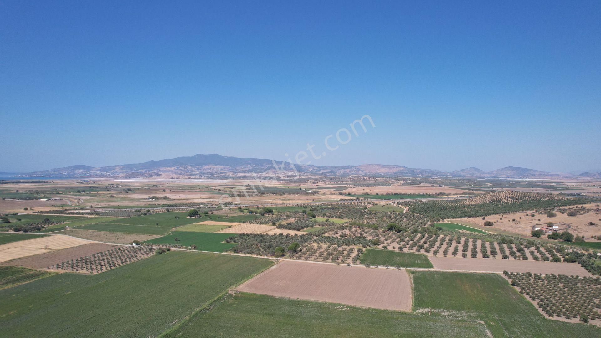 Bergama Zeytindağ Da Deniz Manzaralı Arsalar - Görsel 5