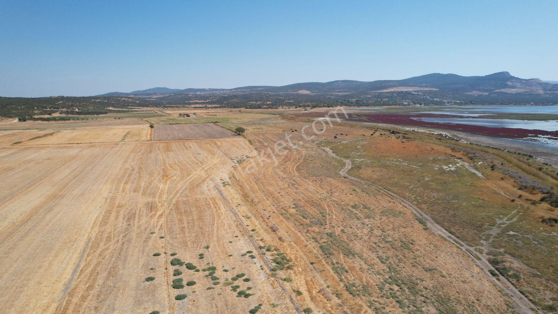 Bergama Zeytindağ Da Deniz Manzaralı Arsalar - Görsel 24