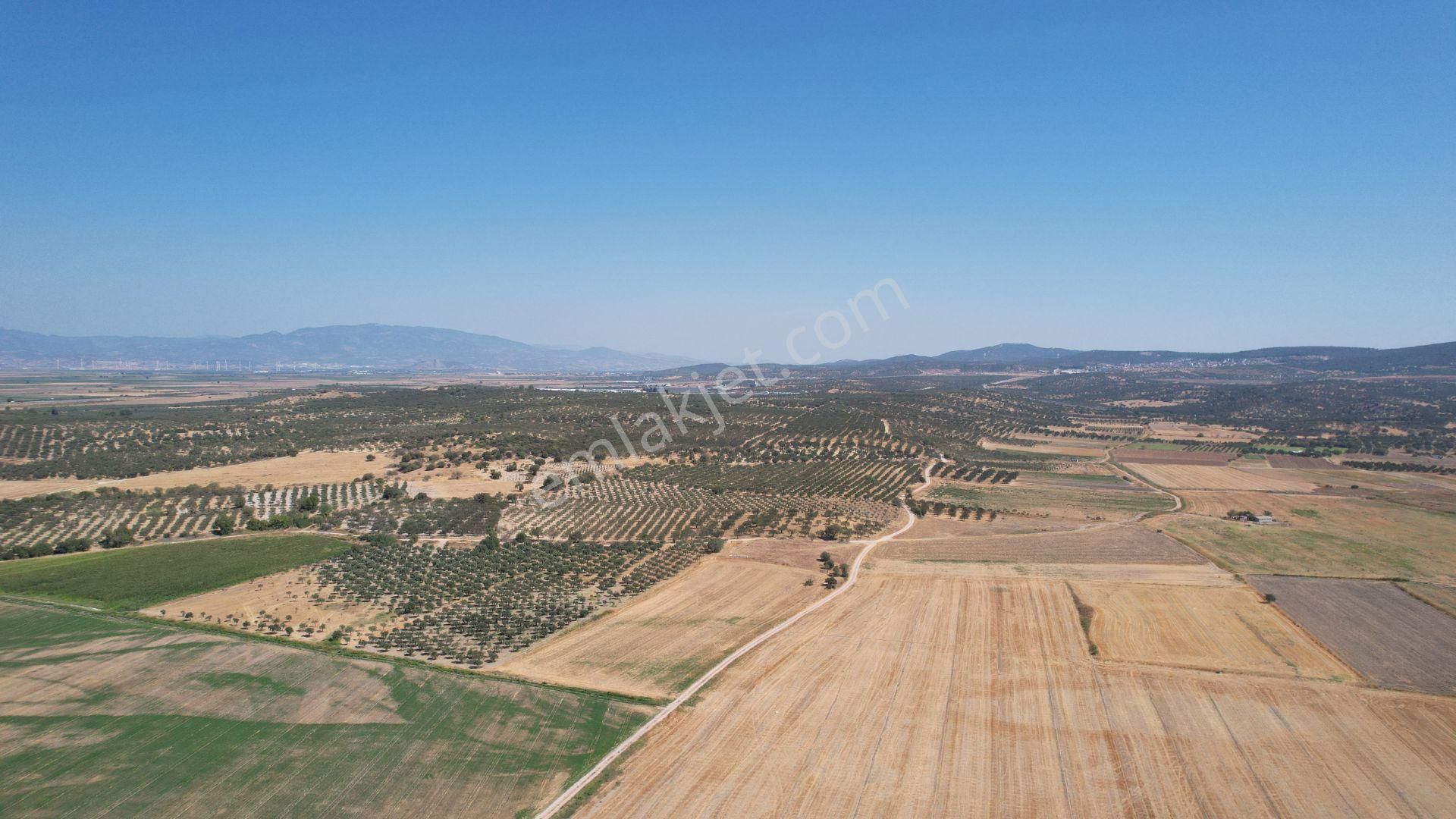 Bergama Zeytindağ Da Deniz Manzaralı Arsalar - Görsel 9