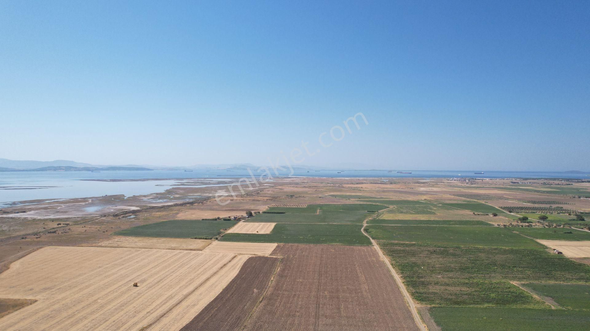 Bergama Zeytindağ Da Deniz Manzaralı Arsalar - Görsel 3