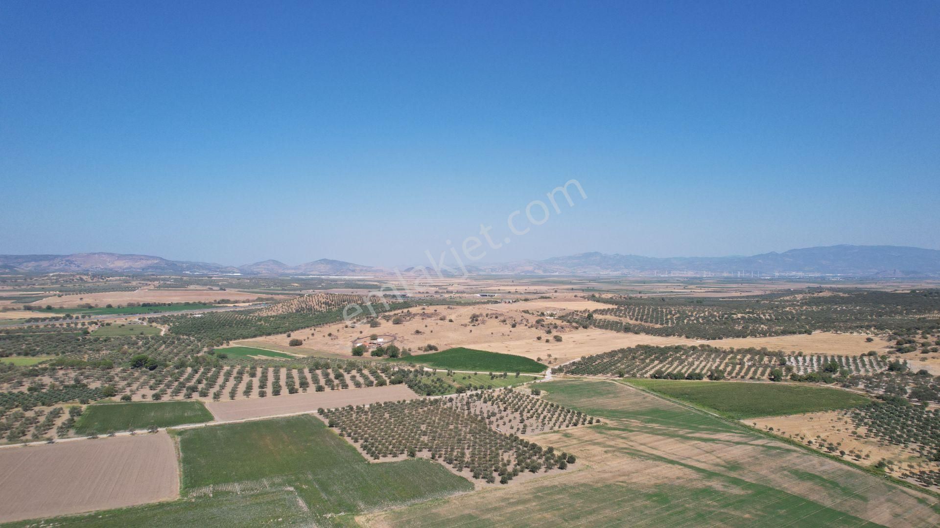 Bergama Zeytindağ Da Deniz Manzaralı Arsalar - Görsel 6