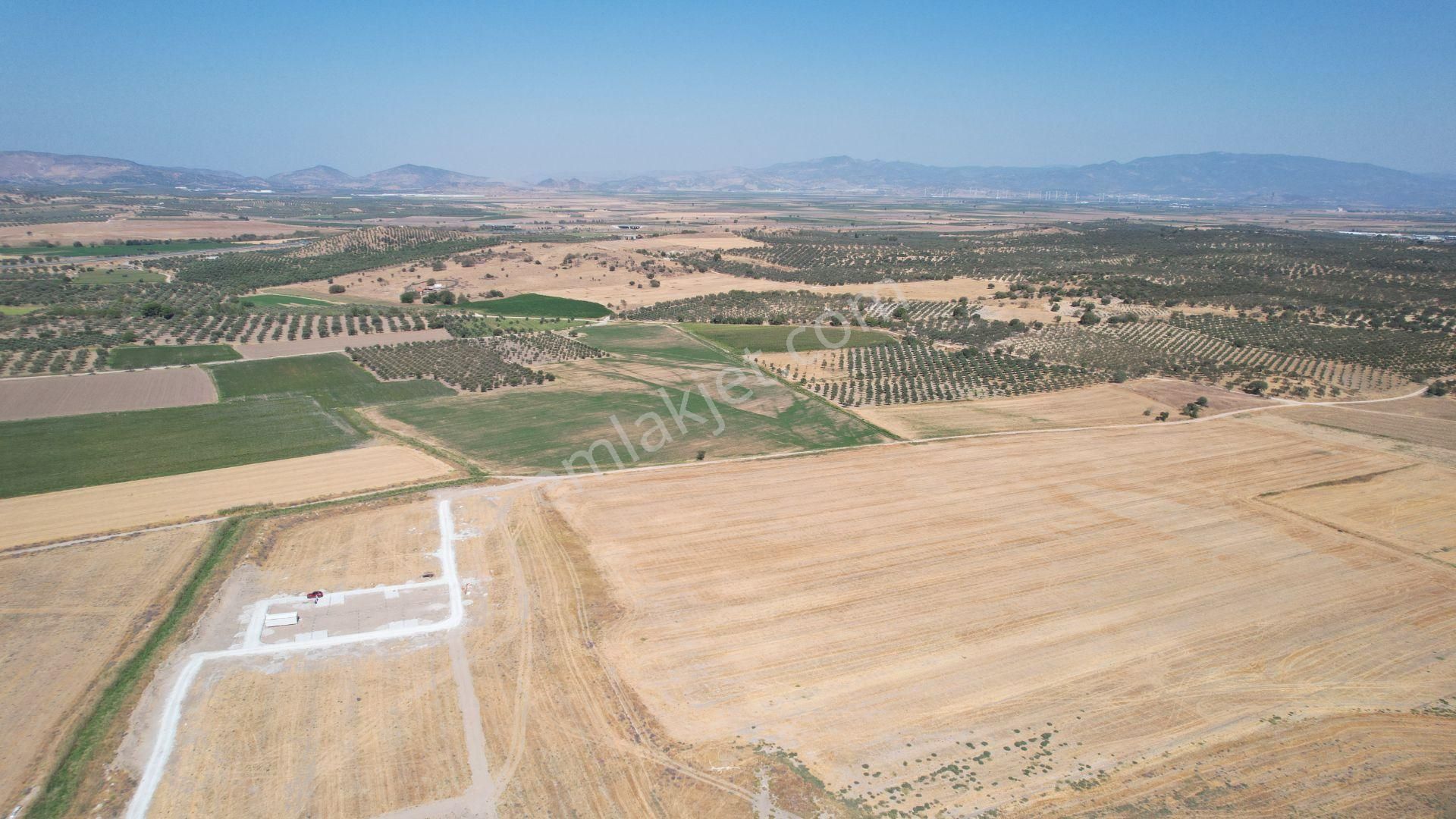 Bergama Zeytindağ Da Deniz Manzaralı Arsalar - Görsel 15