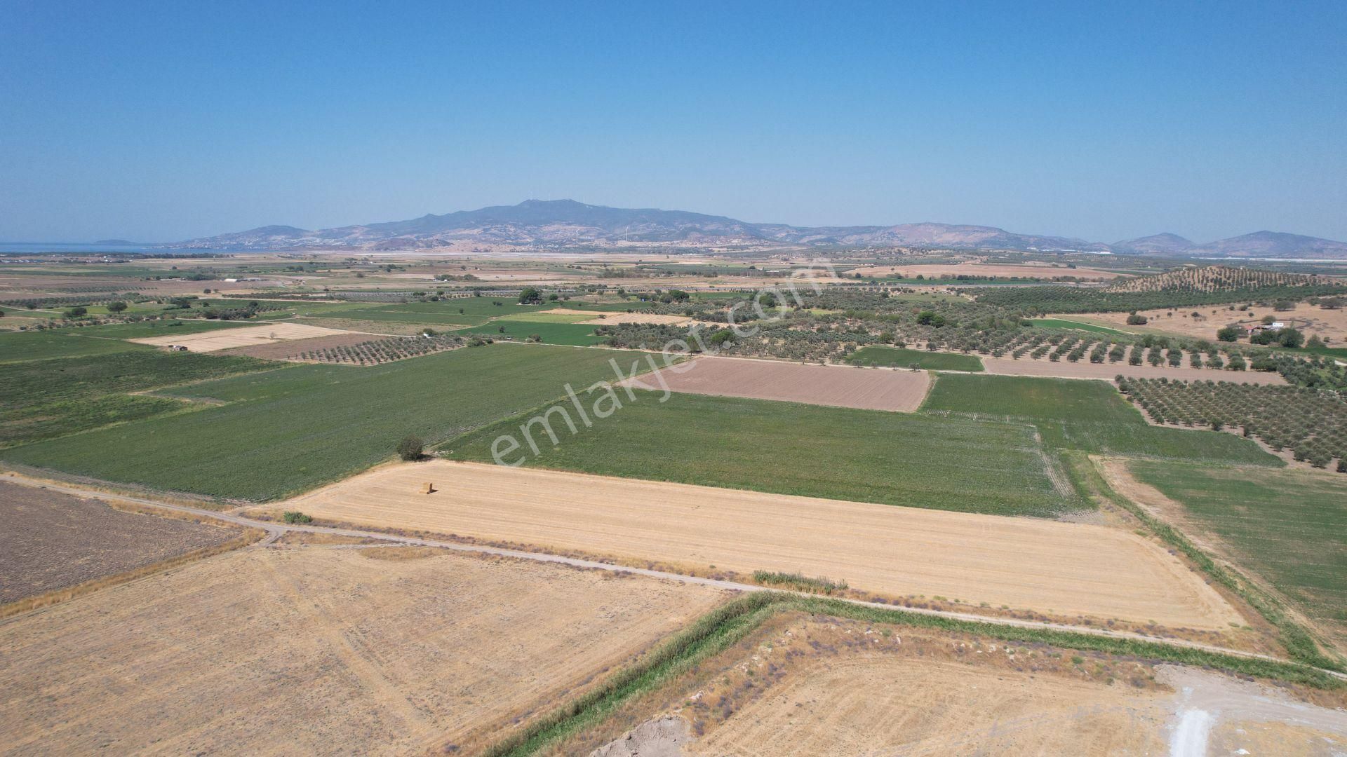 Bergama Zeytindağ Da Deniz Manzaralı Arsalar - Görsel 20