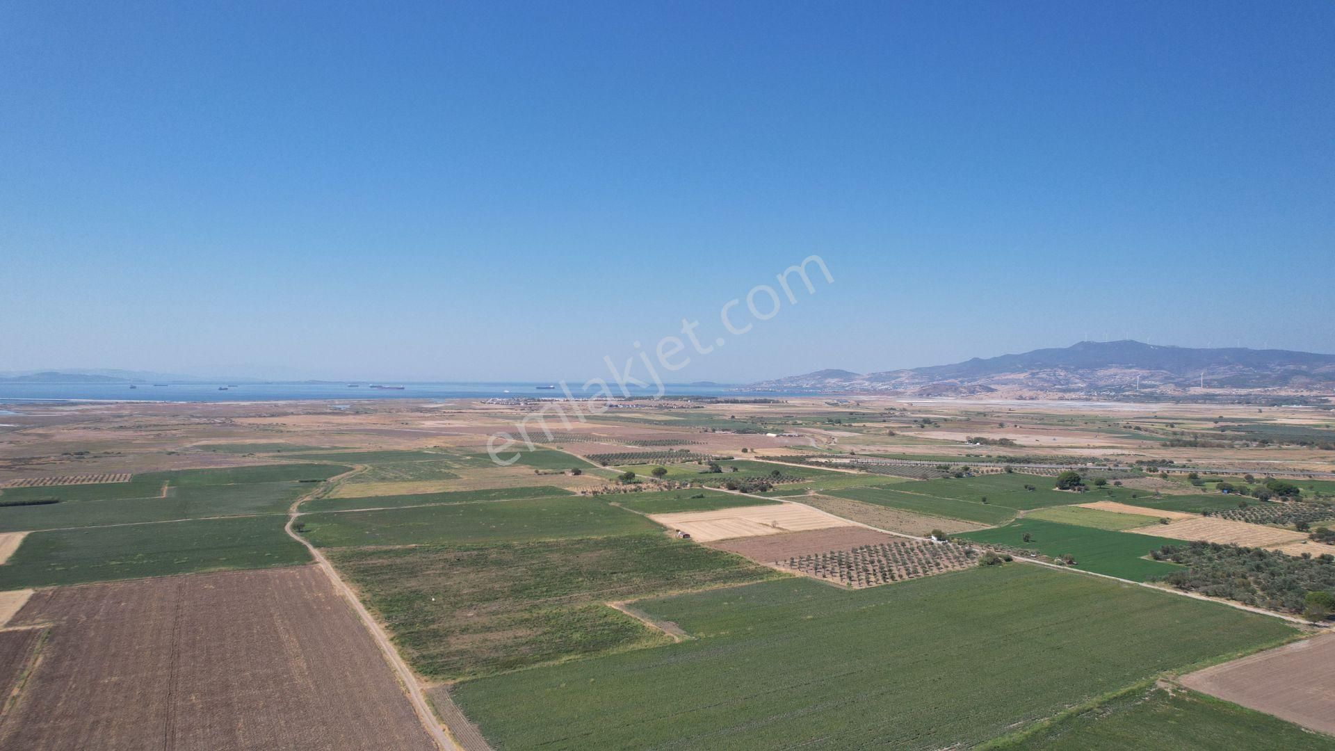 Bergama Zeytindağ Da Deniz Manzaralı Arsalar - Görsel 4