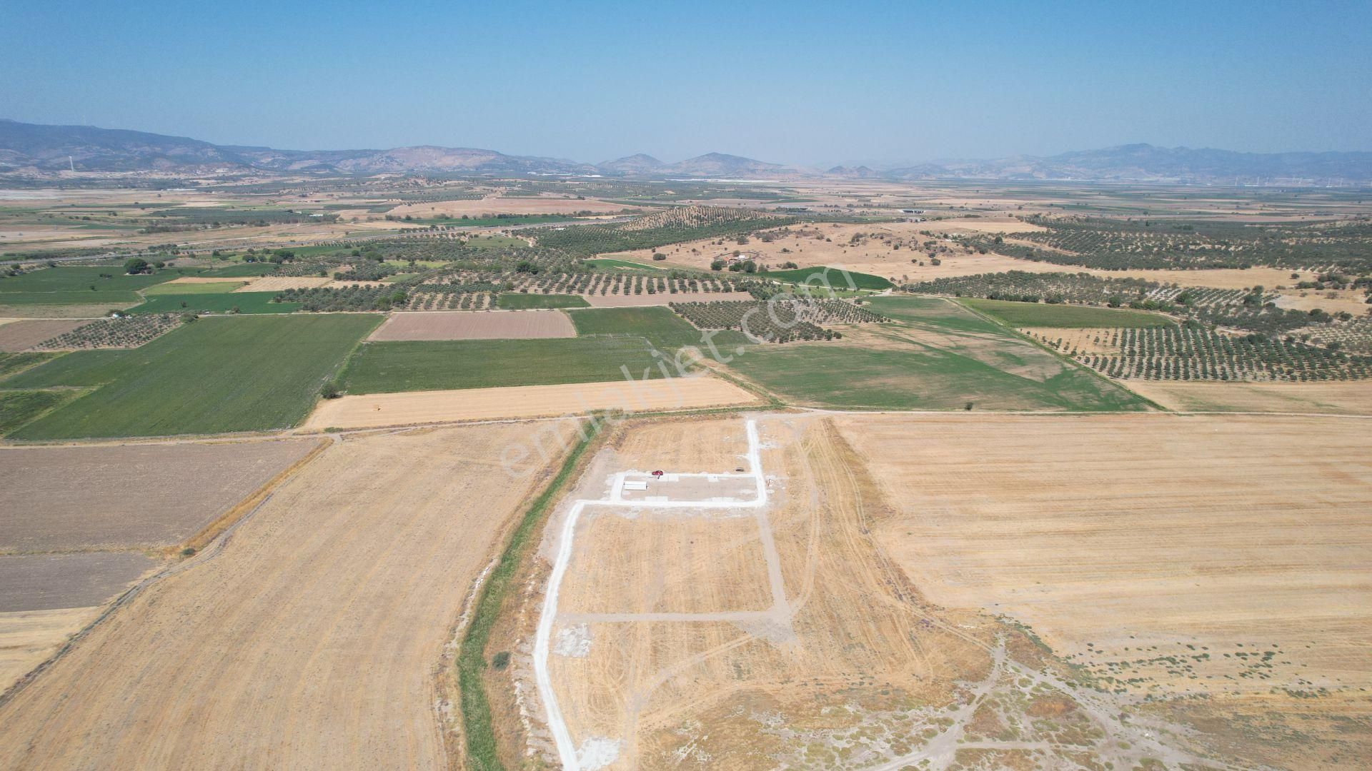 Bergama Zeytindağ Da Deniz Manzaralı Arsalar - Görsel 17