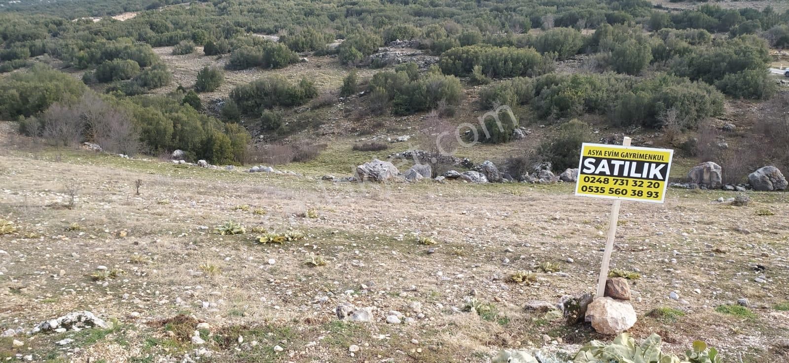 Asya Evim Emlaktan Çanaklı Köyünde Satılık Fırsat Tarla - Görsel 24